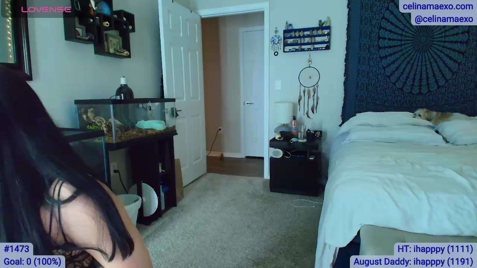 Gallery image thumbnail from Celinamaexo's myfreecams stream on, 08/13/2026, 04:42 image 15 of 20