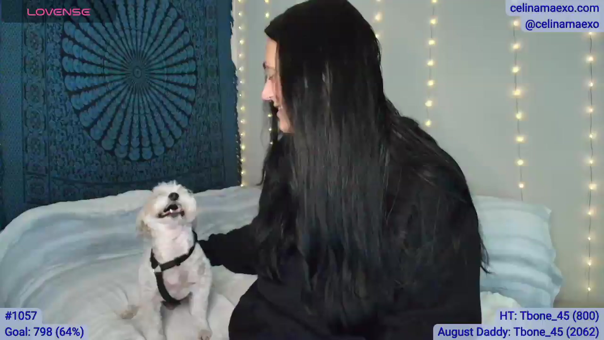 Gallery image thumbnail from Celinamaexo's myfreecams stream on, 08/17/2026, 06:19 image 16 of 20