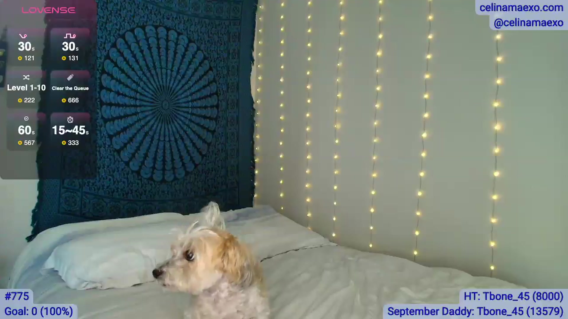 Gallery image thumbnail from Celinamaexo's myfreecams stream on, 09/15/2026, 06:00 image 17 of 20
