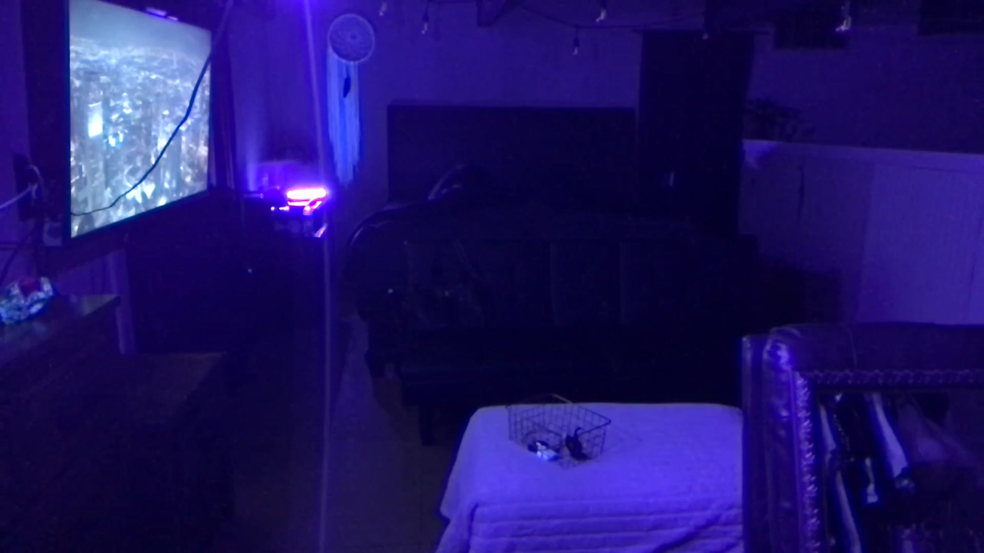 Gallery image thumbnail from ChampagneMuse's myfreecams stream on, 03/20/2026, 11:06 image 9 of 20