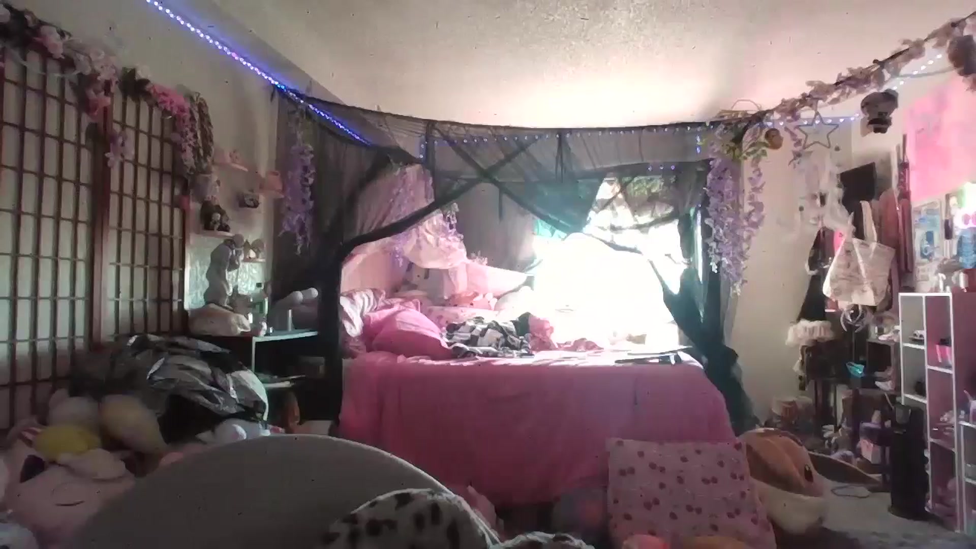 Gallery image thumbnail from ChaosPixie69's myfreecams stream on, 02/21/2026, 21:25 image 6 of 20