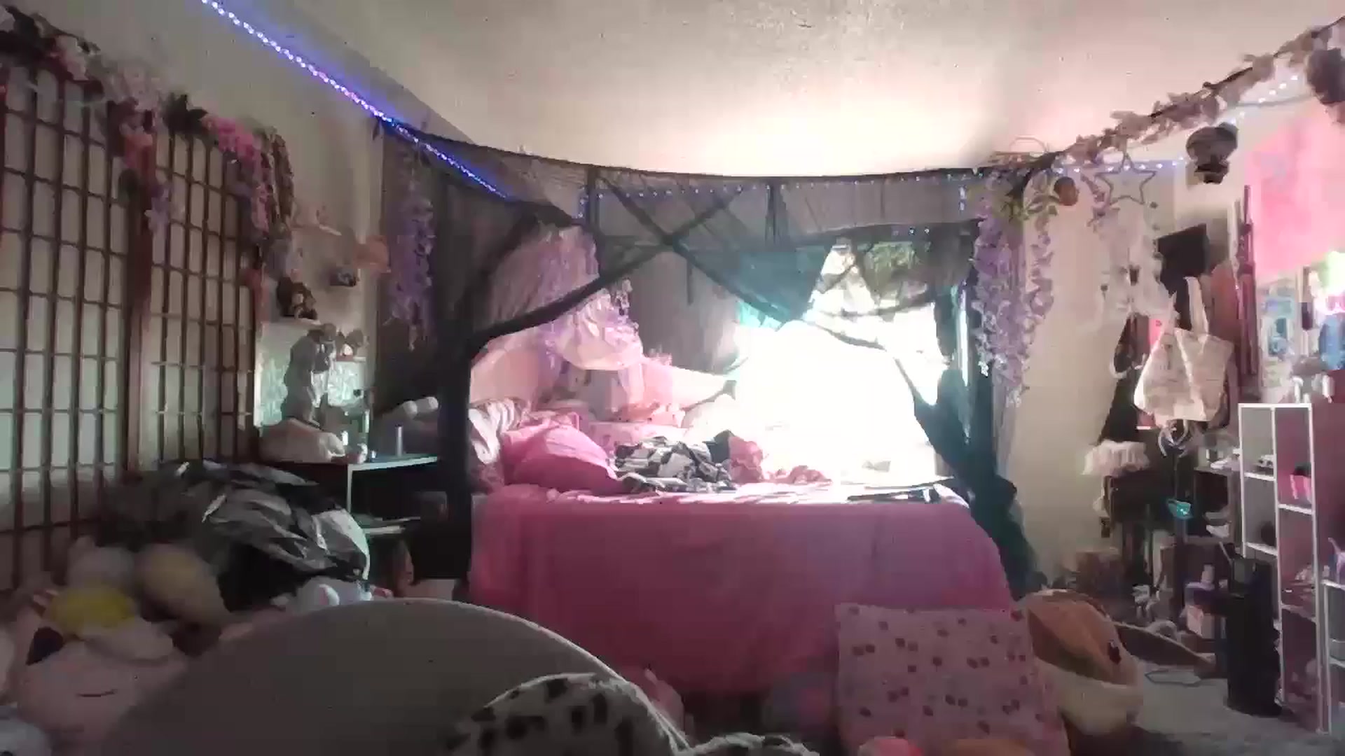 Gallery image thumbnail from ChaosPixie69's myfreecams stream on, 02/21/2026, 21:25 image 4 of 20