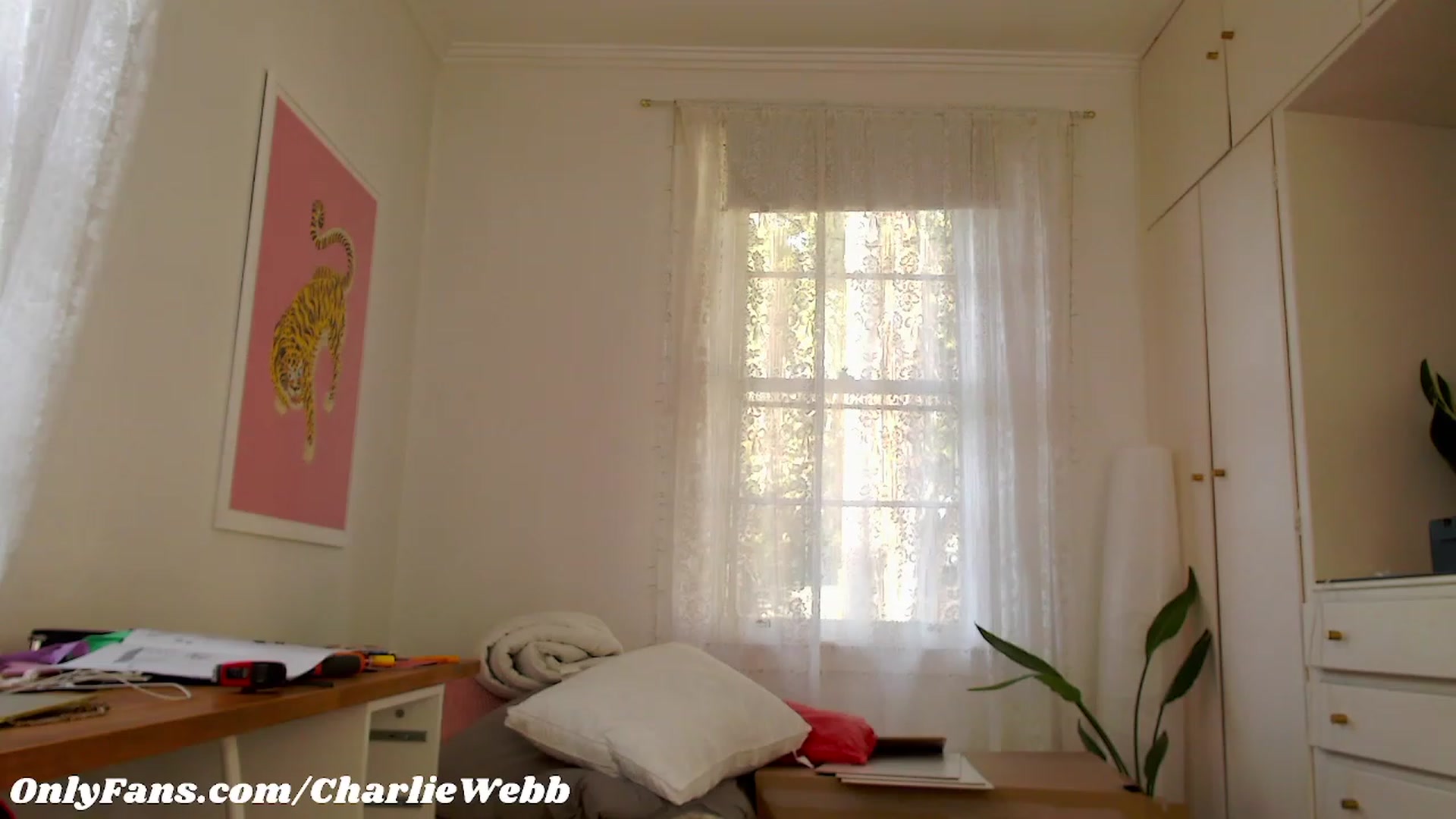Gallery image thumbnail from CharlieWebb's myfreecams stream on, 02/20/2023, 09:35 image 9 of 20