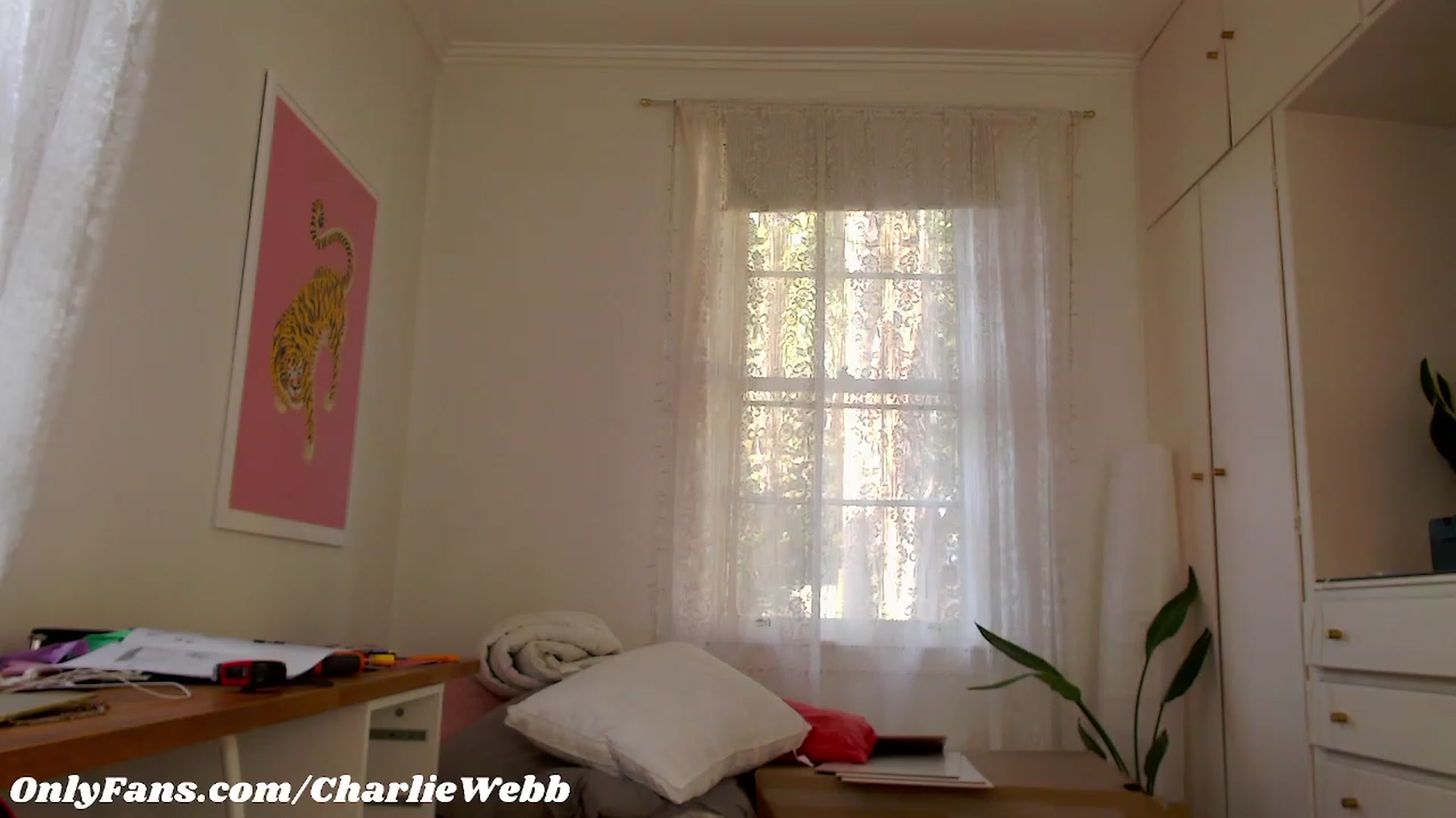 Gallery image thumbnail from CharlieWebb's myfreecams stream on, 02/20/2023, 09:35 image 10 of 20