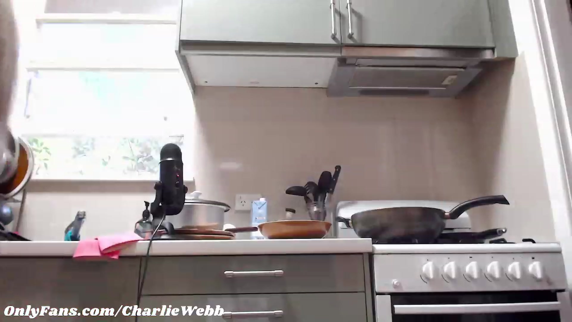 Gallery image thumbnail from CharlieWebb's myfreecams stream on, 03/01/2023, 10:20 image 5 of 20