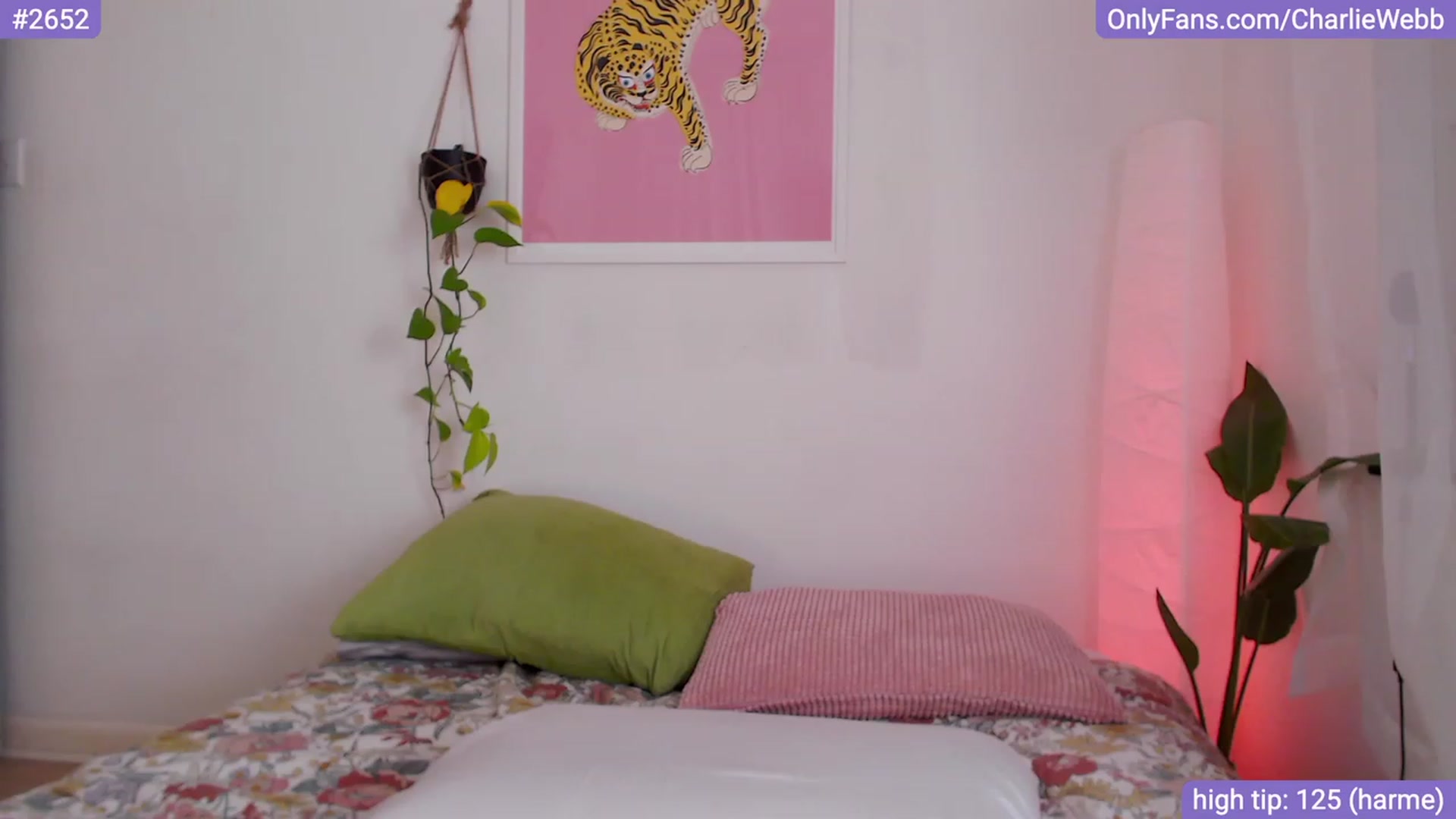 Gallery image thumbnail from CharlieWebb's myfreecams stream on, 10/03/2023, 10:37 image 7 of 20