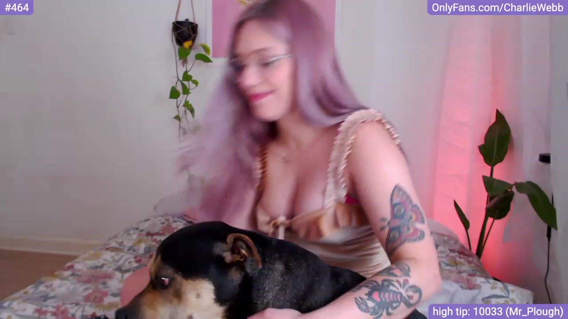 Gallery image thumbnail from CharlieWebb's myfreecams stream on, 10/12/2023, 11:45 image 9 of 20