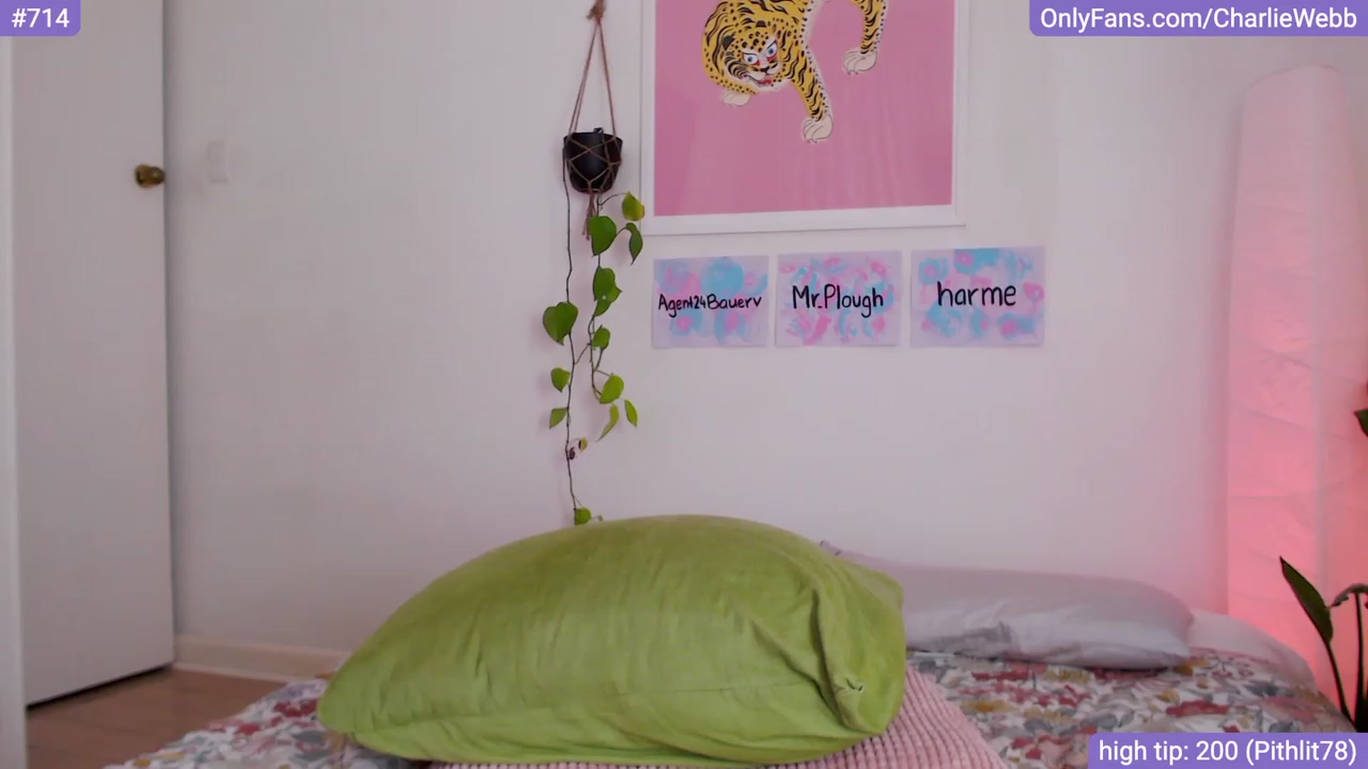 Gallery image thumbnail from CharlieWebb's myfreecams stream on, 10/29/2023, 13:02 image 5 of 20