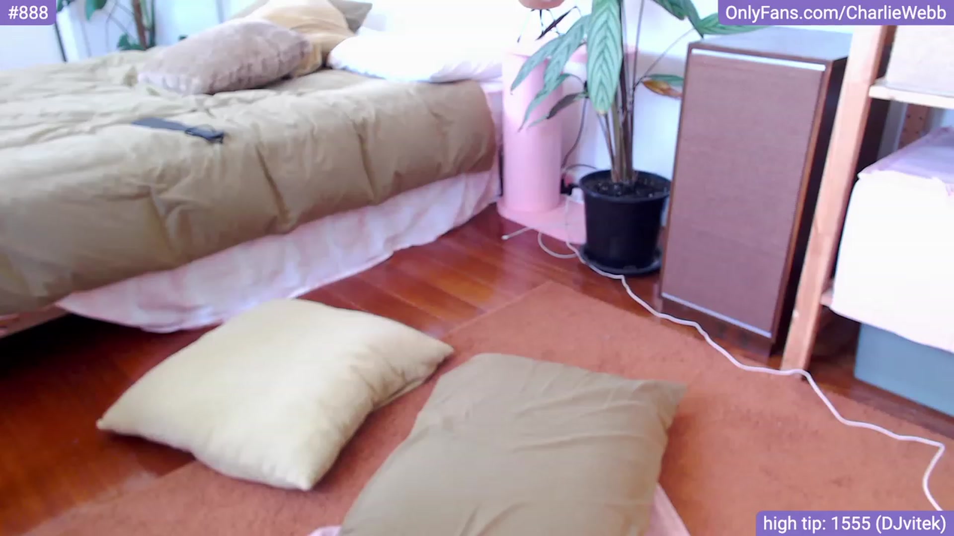 Gallery image thumbnail from CharlieWebb's myfreecams stream on, 01/09/2024, 07:46 image 5 of 20