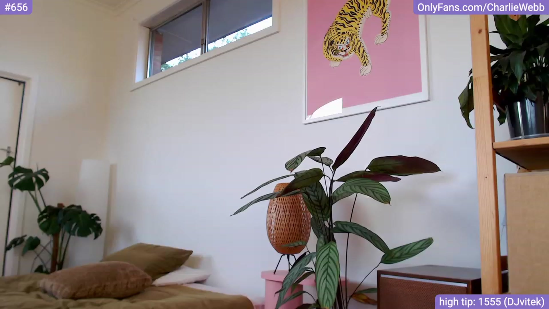 Gallery image thumbnail from CharlieWebb's myfreecams stream on, 01/09/2024, 09:04 image 16 of 20