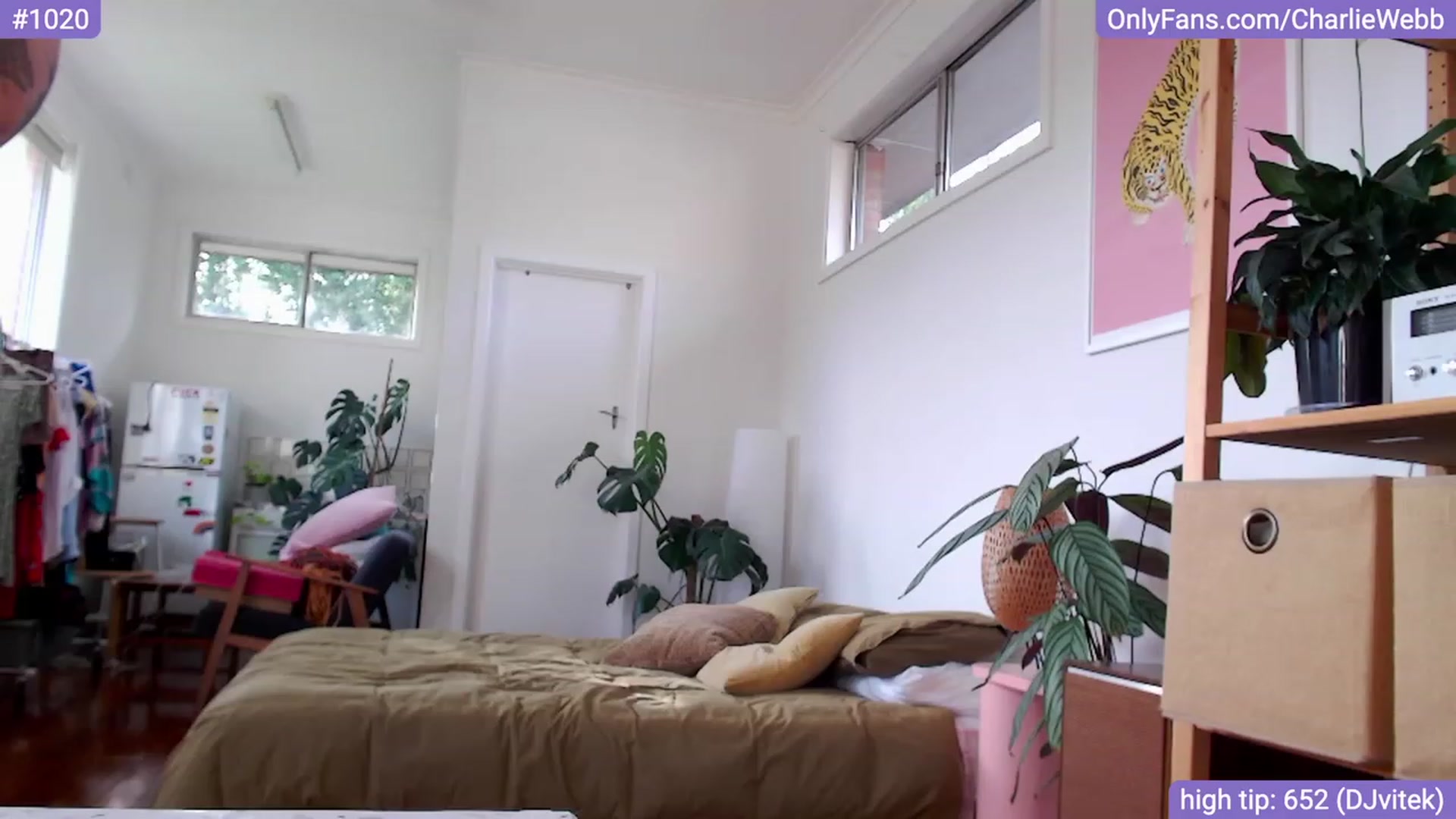 Gallery image thumbnail from CharlieWebb's myfreecams stream on, 01/18/2024, 09:33 image 11 of 20
