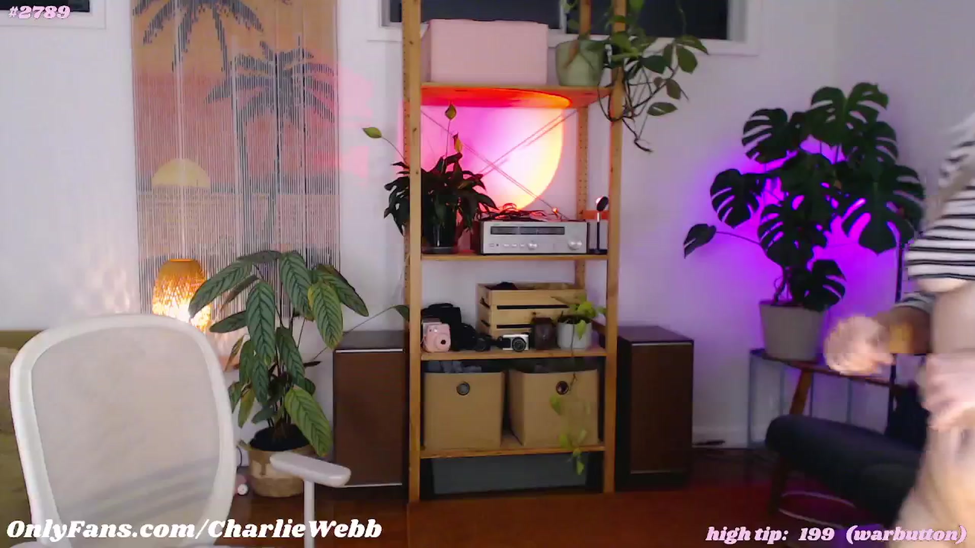 Gallery image thumbnail from CharlieWebb's myfreecams stream on, 05/19/2024, 10:56 image 2 of 20