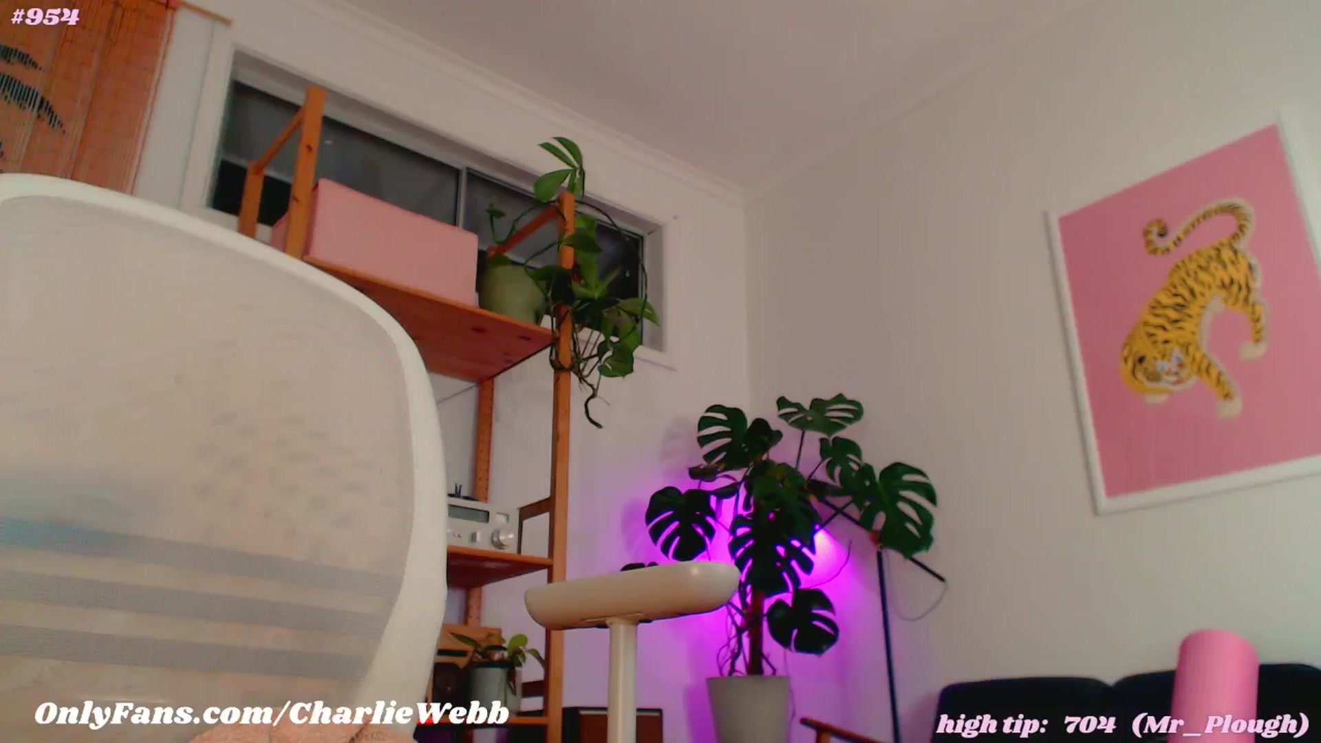 Gallery image thumbnail from CharlieWebb's myfreecams stream on, 07/11/2024, 13:21 image 14 of 20