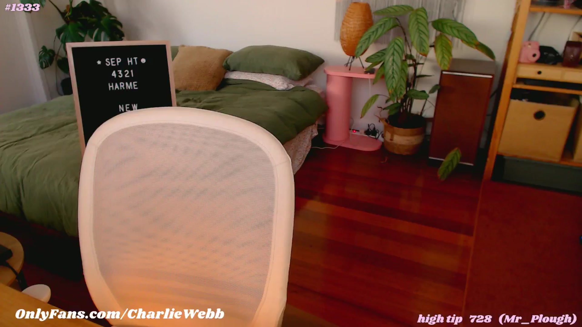 Gallery image thumbnail from CharlieWebb's myfreecams stream on, 09/22/2024, 09:27 image 3 of 20