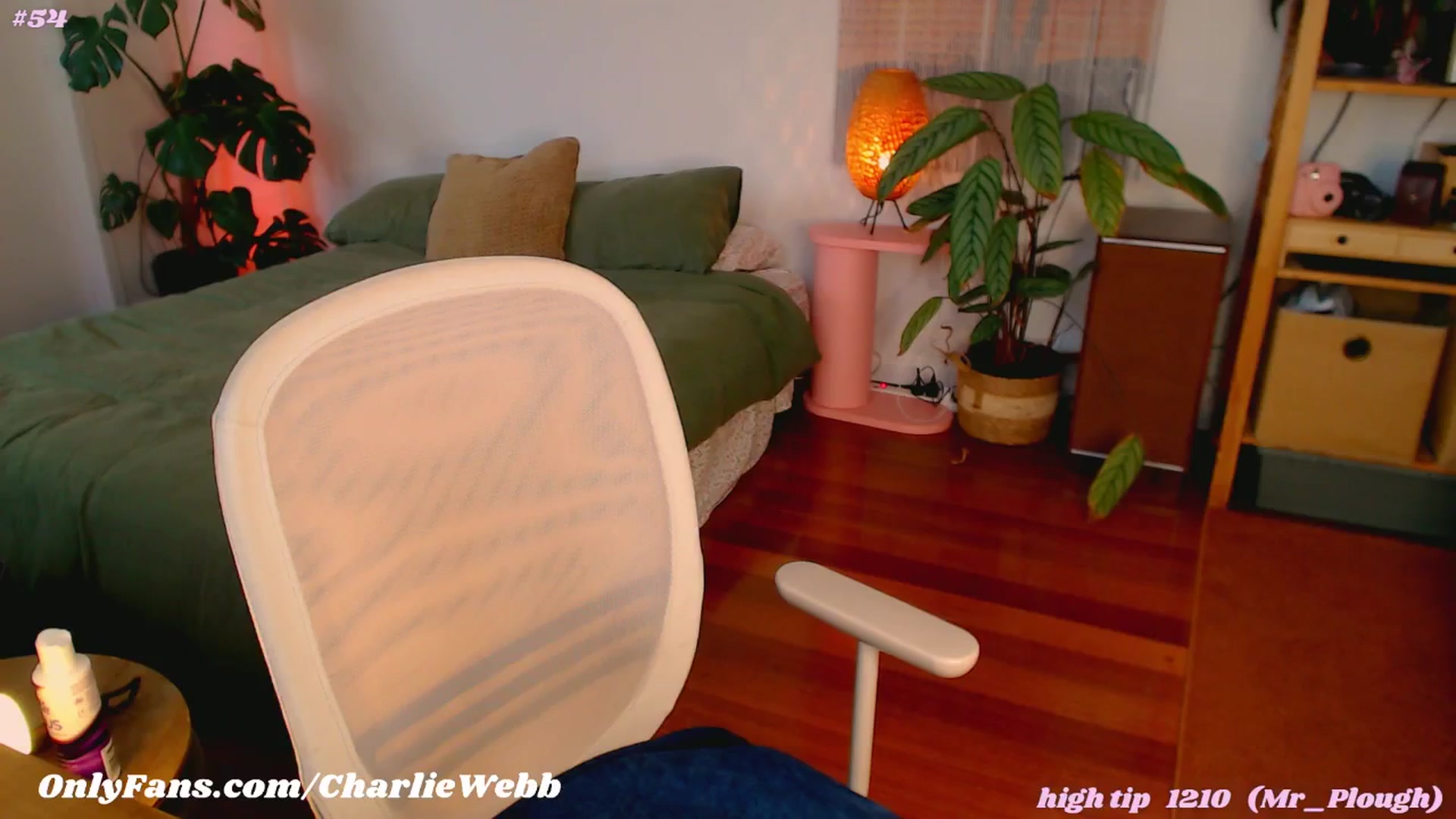 Gallery image thumbnail from CharlieWebb's myfreecams stream on, 10/01/2024, 09:41 image 10 of 20