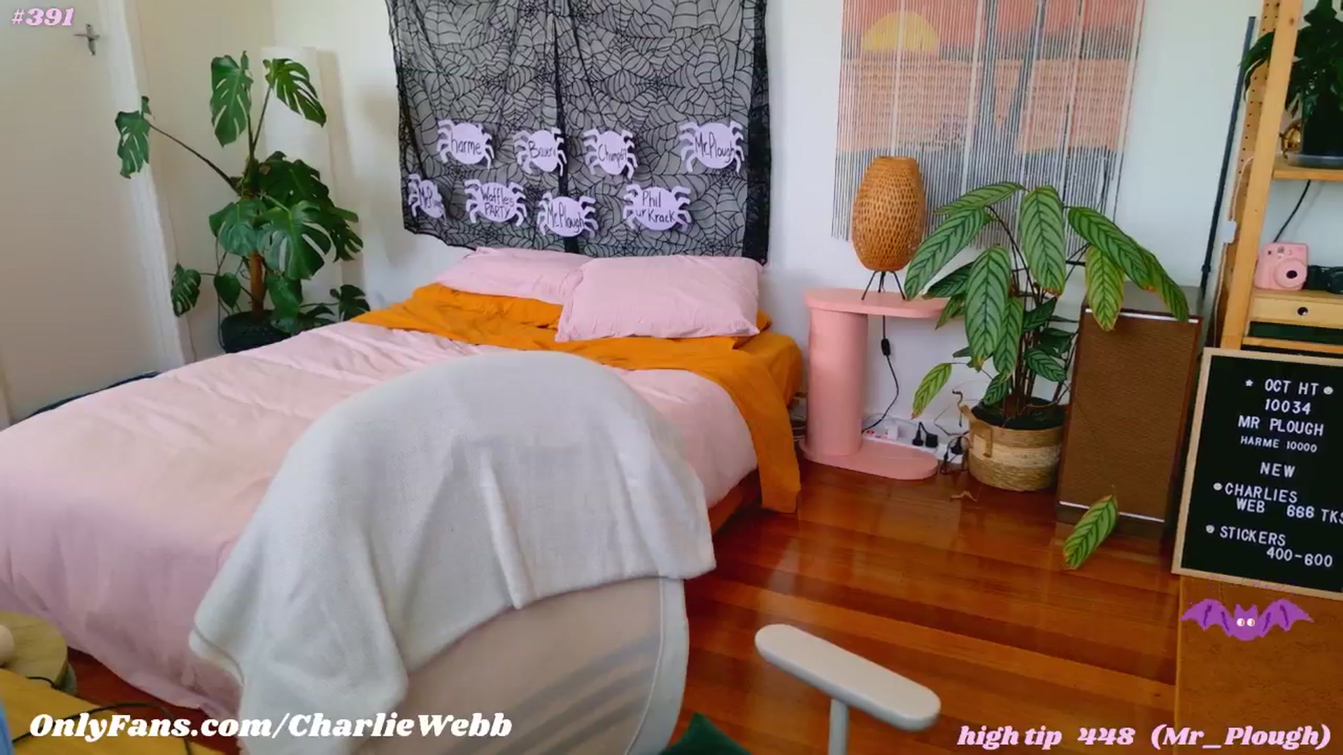 Gallery image thumbnail from CharlieWebb's myfreecams stream on, 10/28/2024, 03:57 image 17 of 20