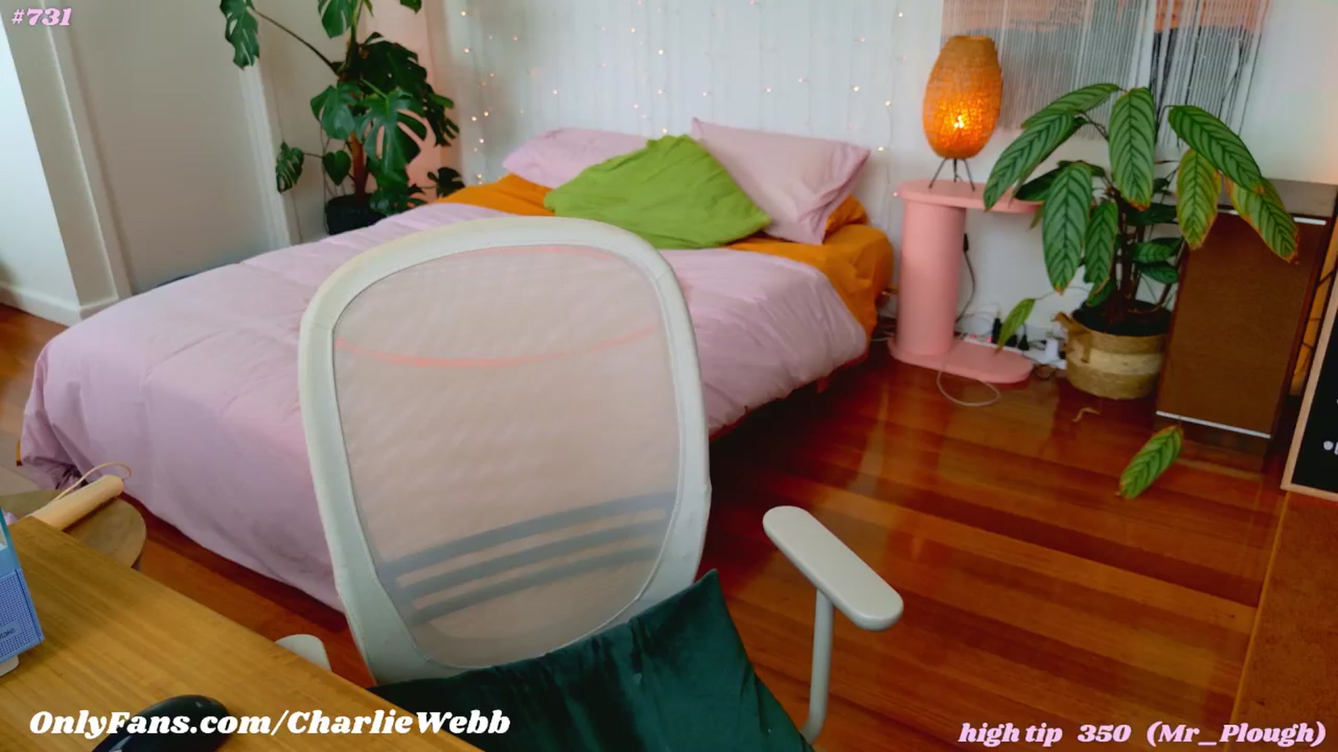 Gallery image thumbnail from CharlieWebb's myfreecams stream on, 11/24/2024, 04:29 image 9 of 20