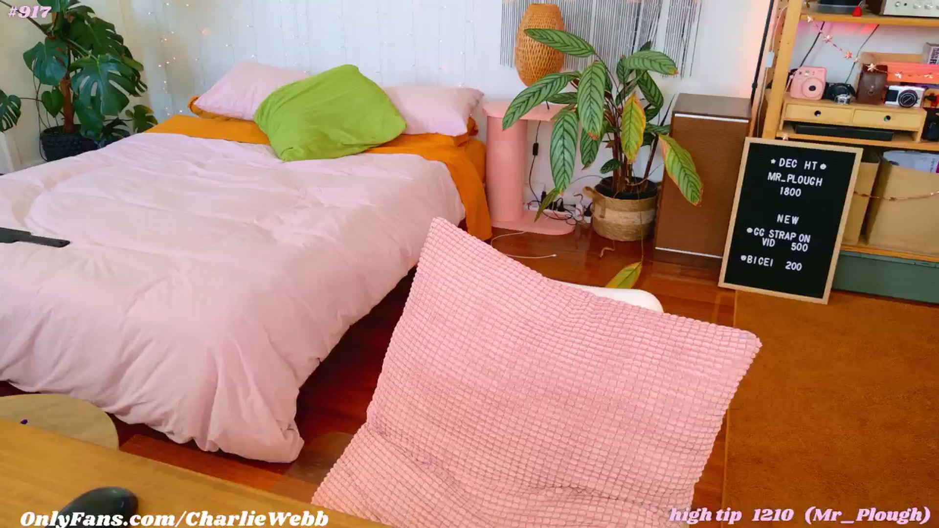 Gallery image thumbnail from CharlieWebb's myfreecams stream on, 12/19/2024, 10:25 image 3 of 20