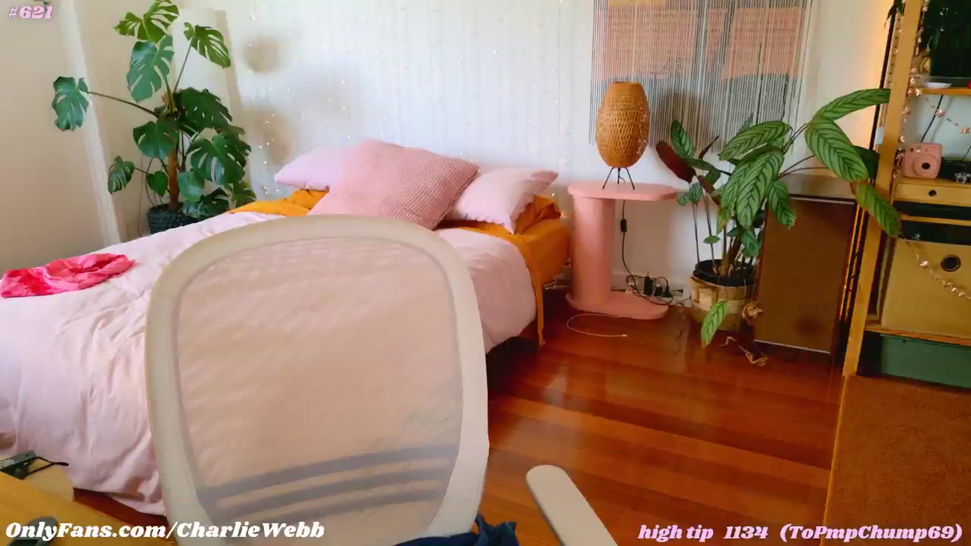 Gallery image thumbnail from CharlieWebb's myfreecams stream on, 01/09/2025, 08:29 image 8 of 20