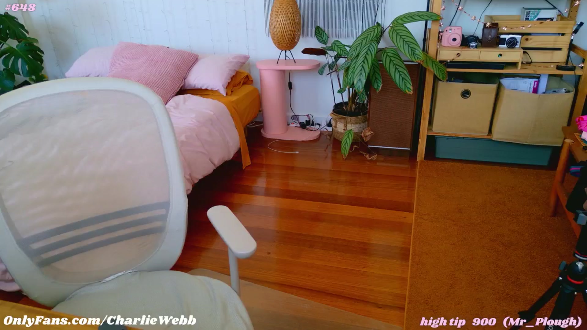 Gallery image thumbnail from CharlieWebb's myfreecams stream on, 01/14/2025, 06:47 image 9 of 20
