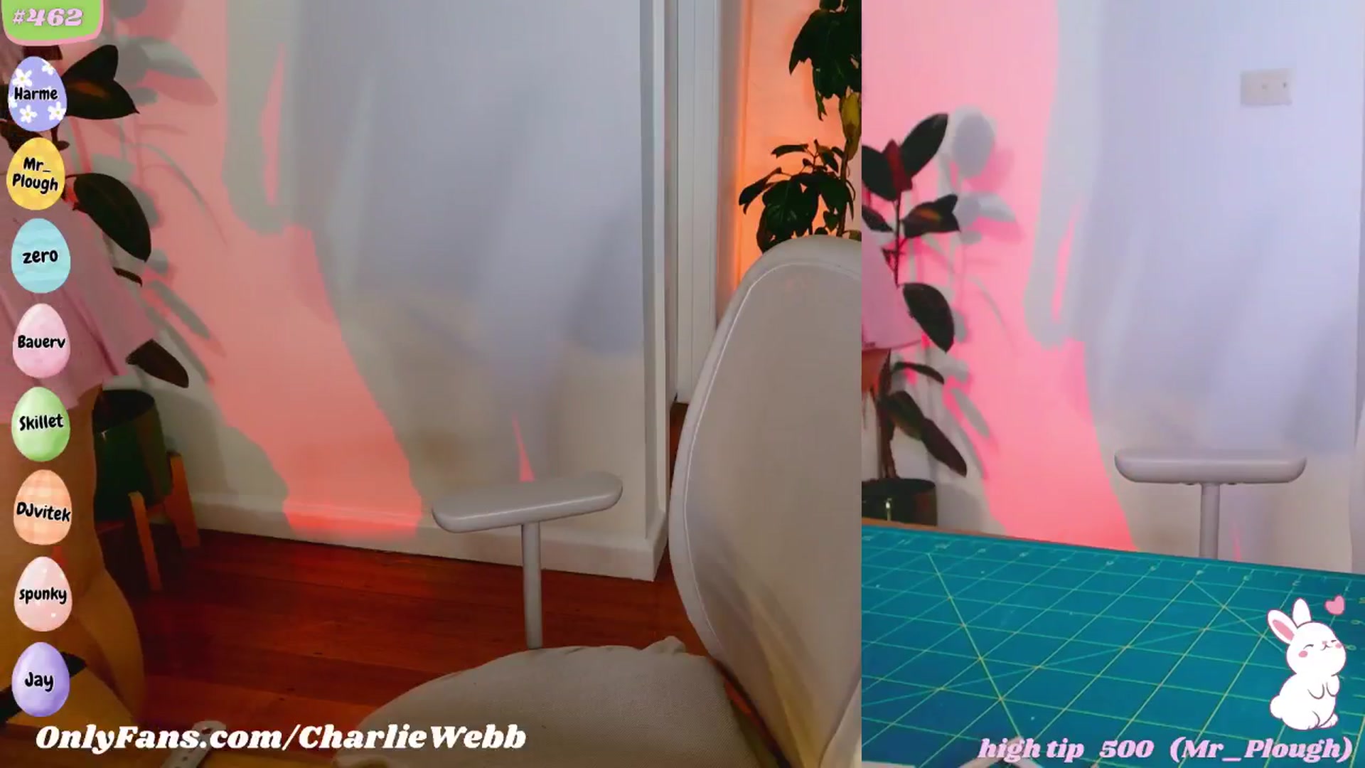 Gallery image thumbnail from CharlieWebb's myfreecams stream on, 04/24/2025, 08:56 image 10 of 20