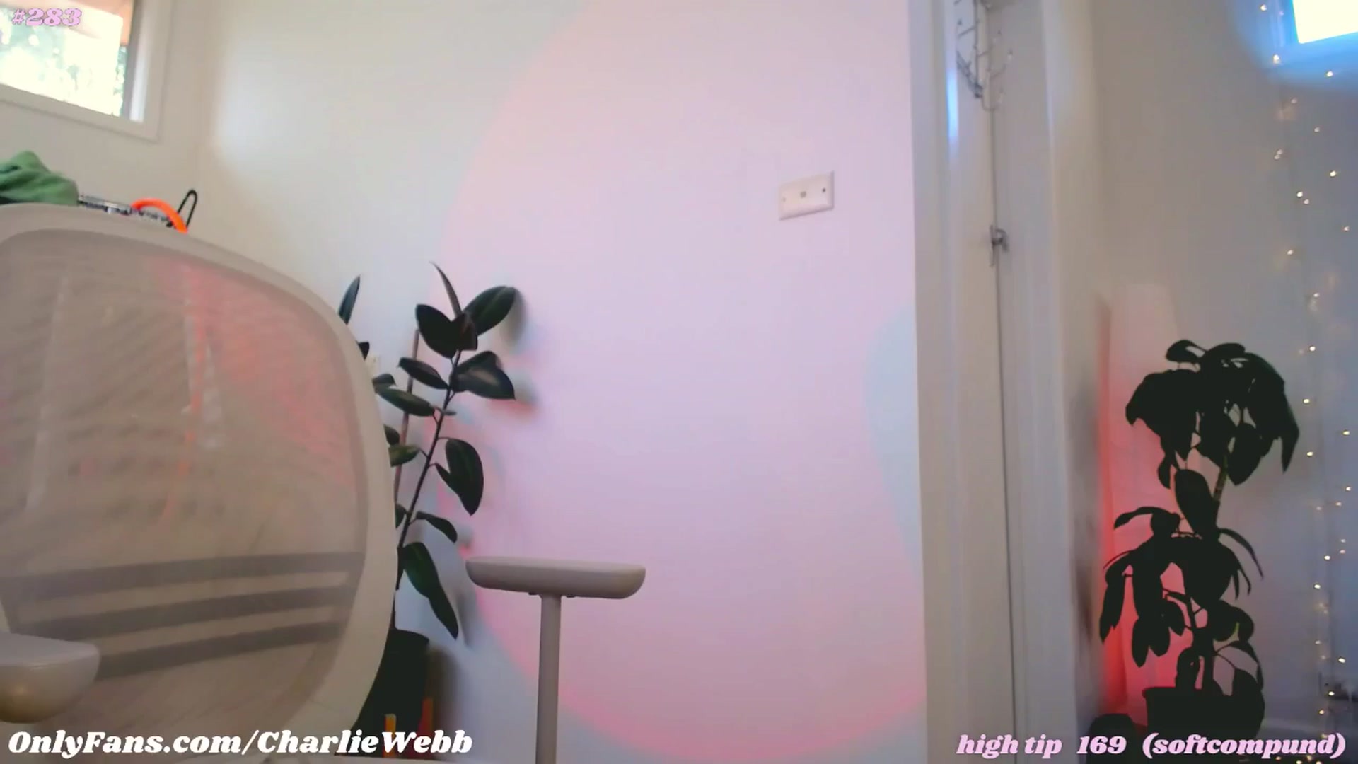 Gallery image thumbnail from CharlieWebb's myfreecams stream on, 06/05/2025, 07:42 image 8 of 20