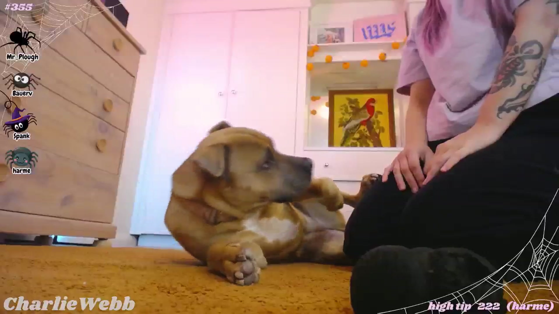 Gallery image thumbnail from CharlieWebb's myfreecams stream on, 10/07/2025, 09:05 image 11 of 20