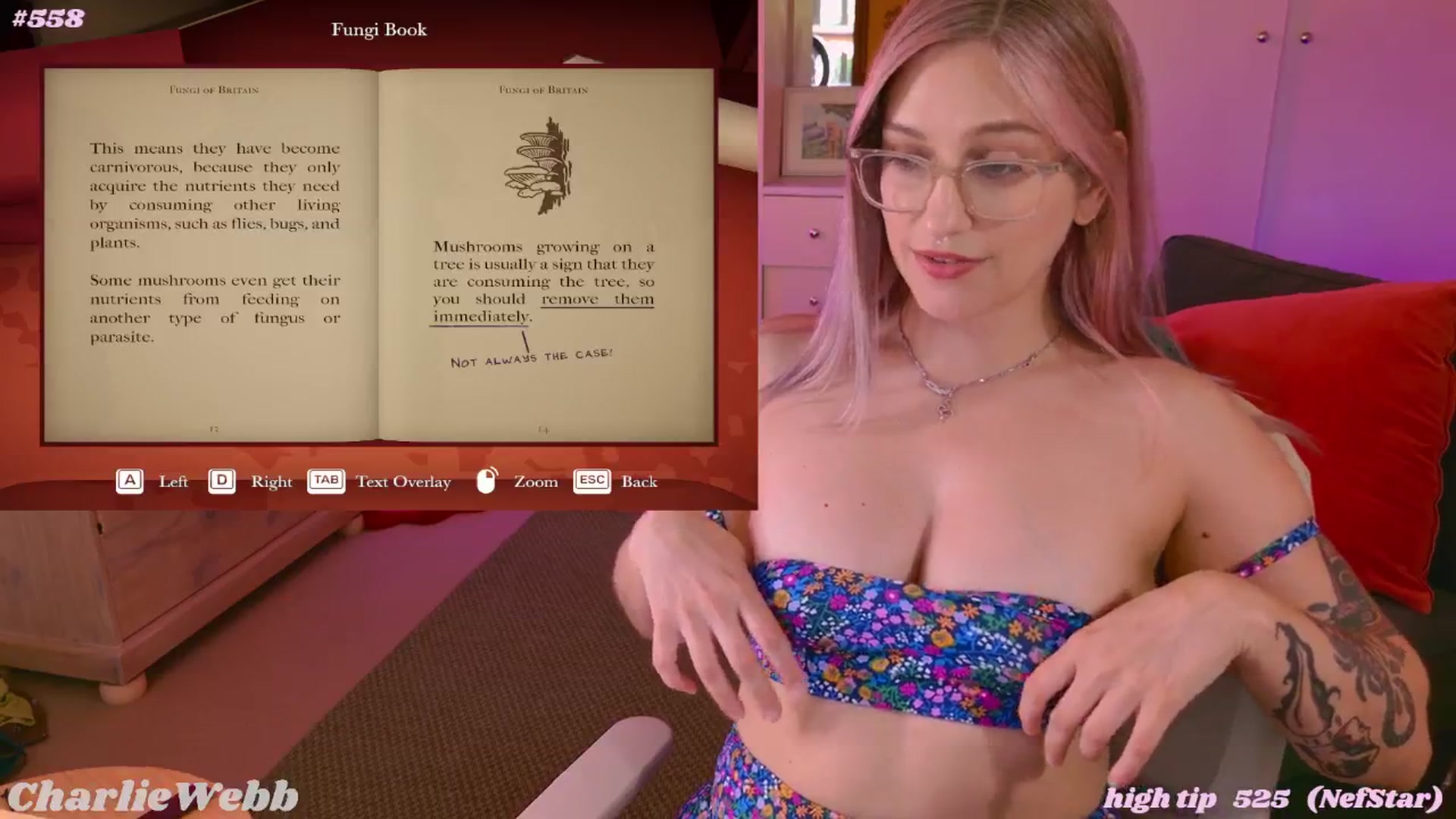 Gallery image thumbnail from CharlieWebb's myfreecams stream on, 02/10/2026, 08:27 image 6 of 20