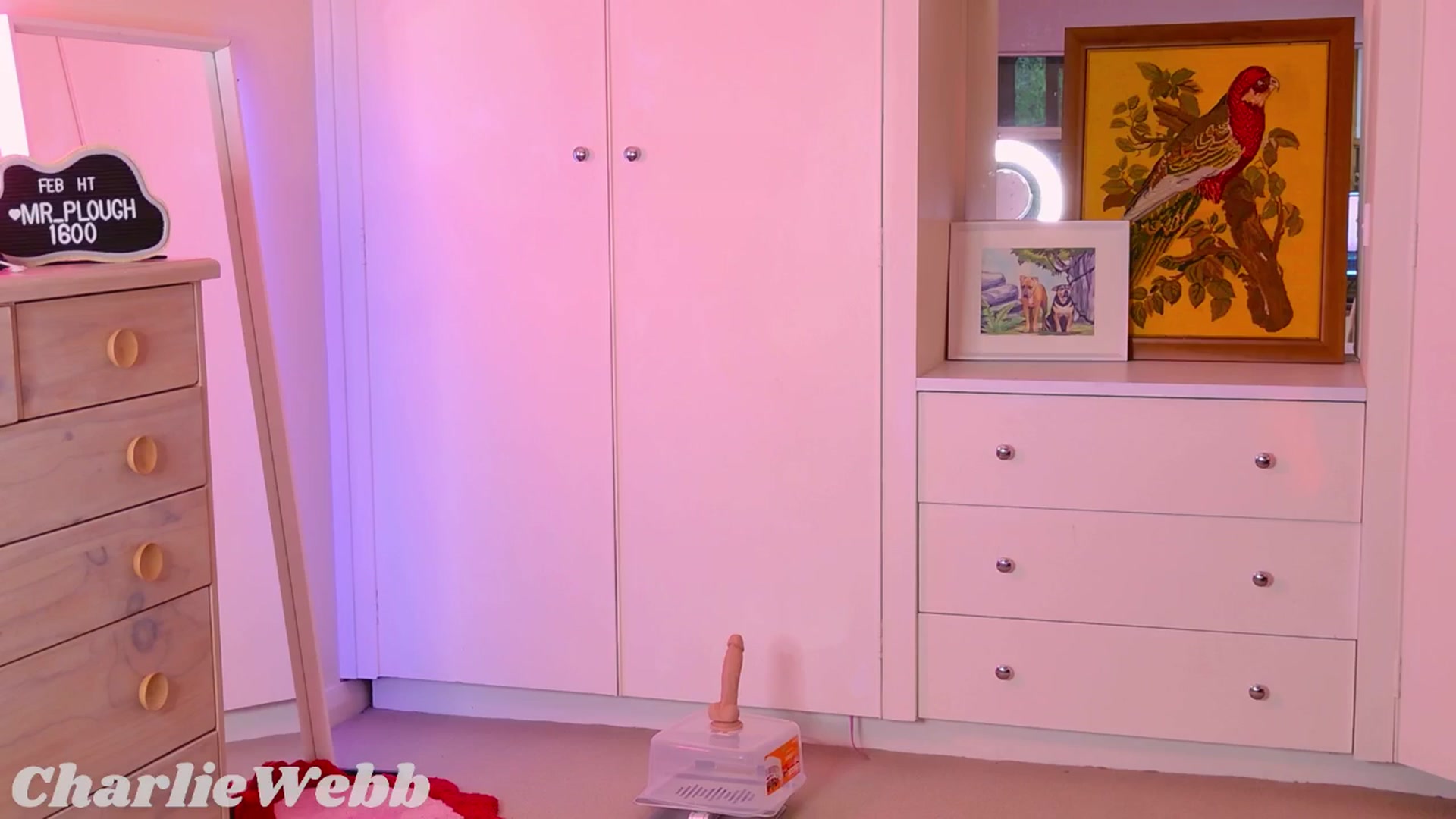 Gallery image thumbnail from CharlieWebb's myfreecams stream on, 02/17/2026, 08:47 image 13 of 20