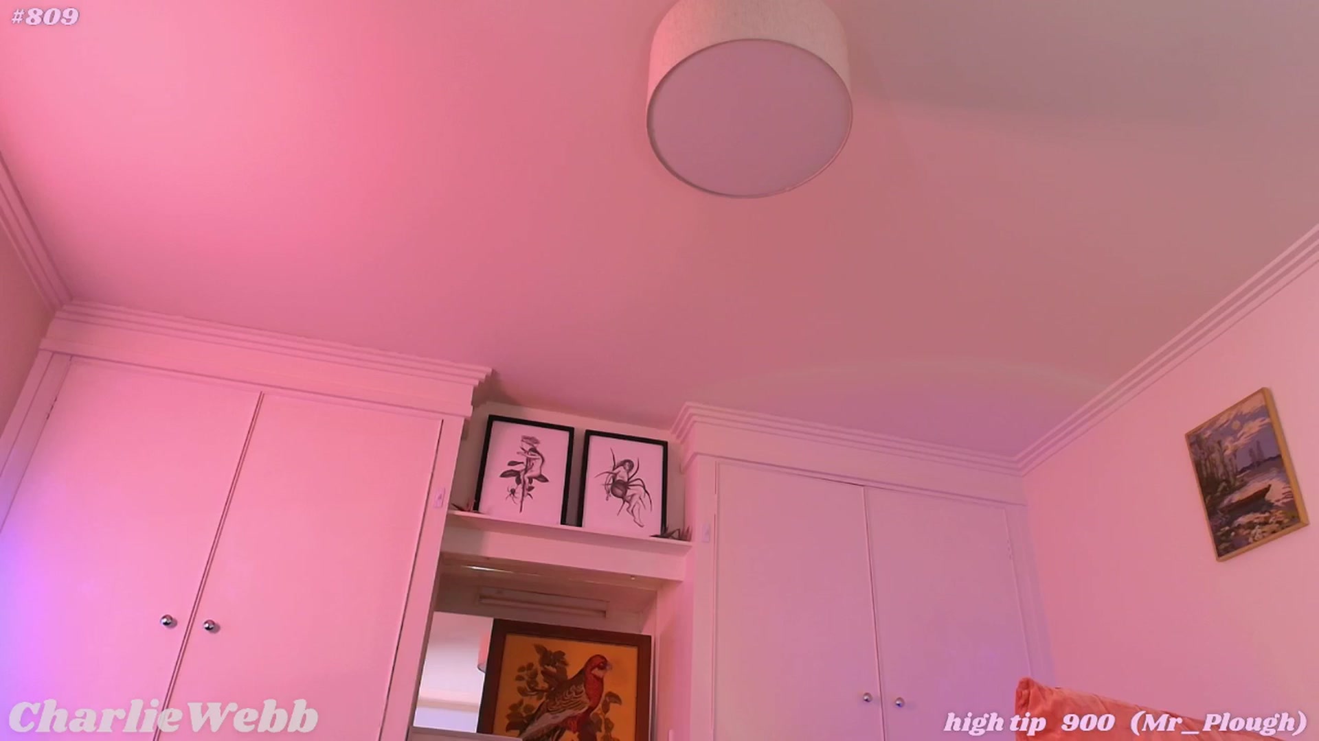 Gallery image thumbnail from CharlieWebb's myfreecams stream on, 03/10/2026, 09:10 image 16 of 20