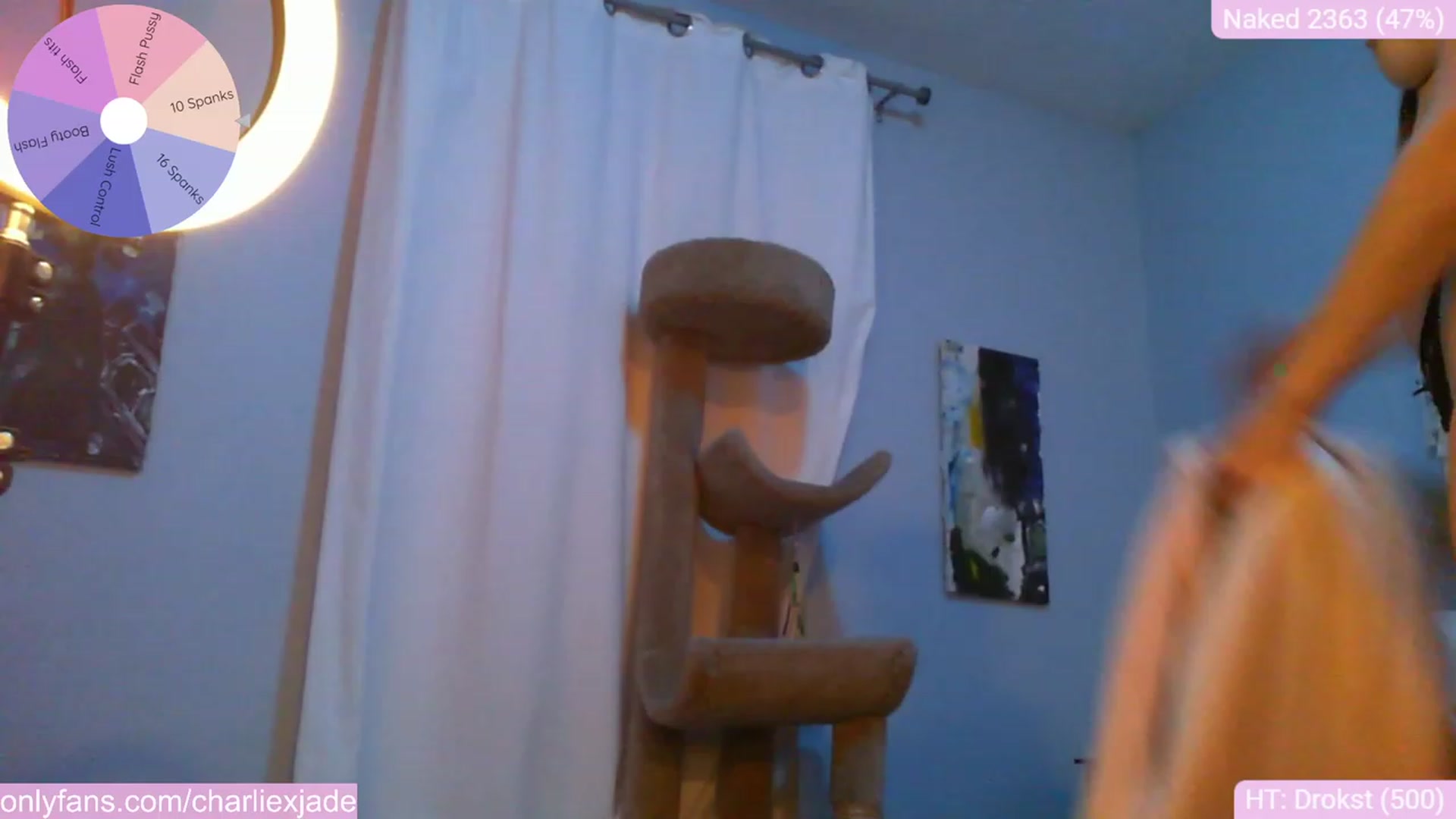 Gallery image thumbnail from Charliexjade's myfreecams stream on, 09/09/2023, 05:27 image 11 of 20