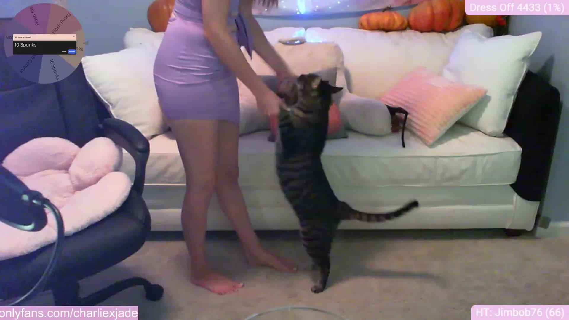 Gallery image thumbnail from Charliexjade's myfreecams stream on, 10/08/2023, 21:14 image 19 of 20