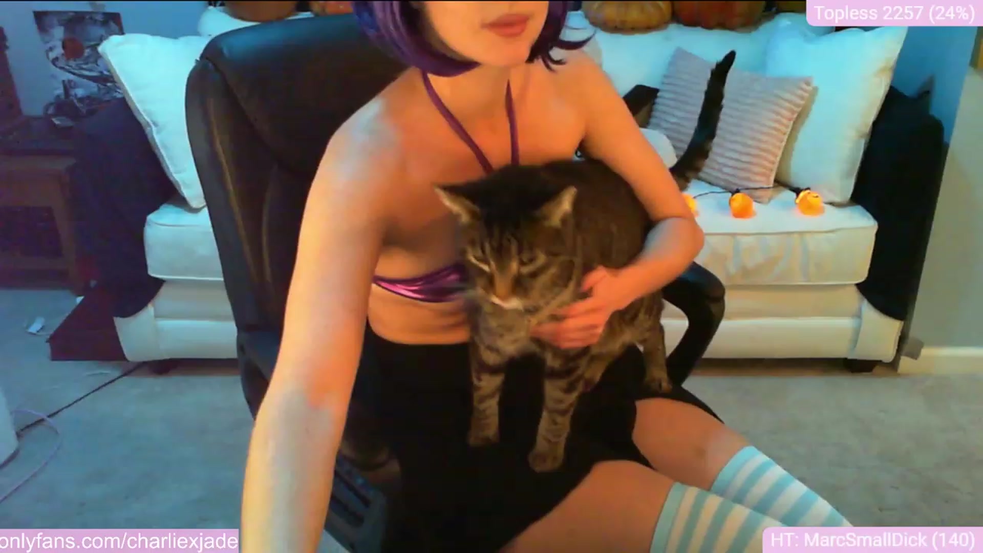 Gallery image thumbnail from Charliexjade's myfreecams stream on, 10/26/2023, 13:16 image 19 of 20
