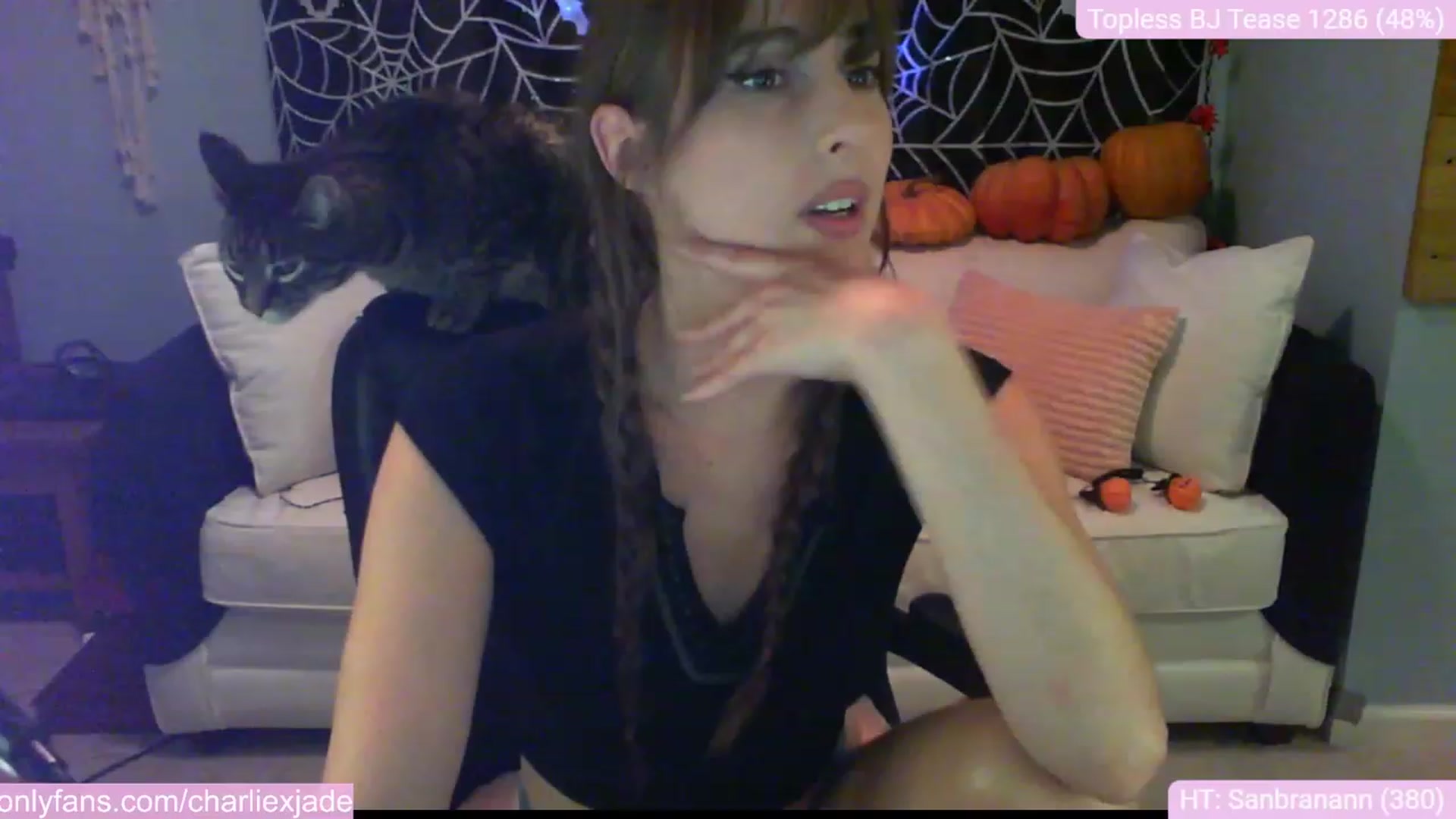 Gallery image thumbnail from Charliexjade's myfreecams stream on, 10/30/2023, 01:37 image 16 of 20