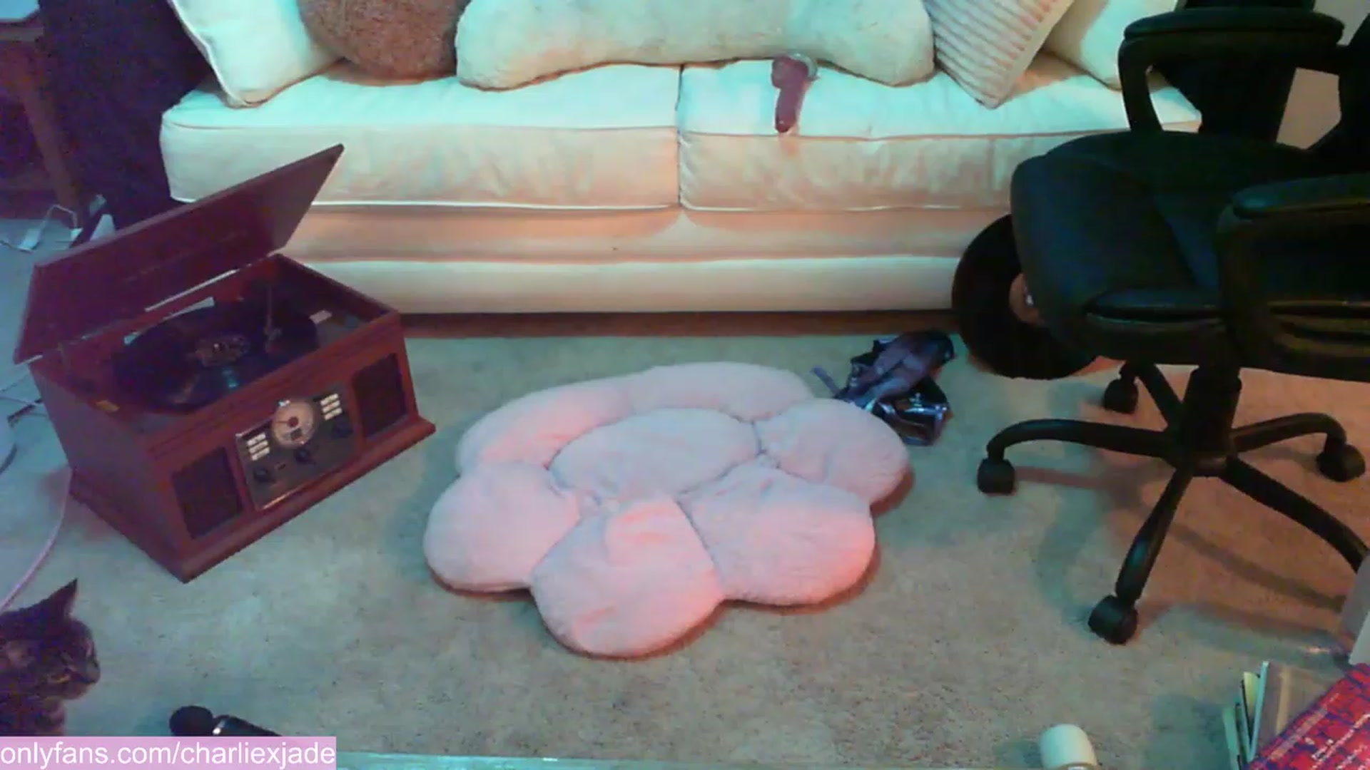 Gallery image thumbnail from Charliexjade's myfreecams stream on, 12/09/2023, 07:01 image 3 of 20