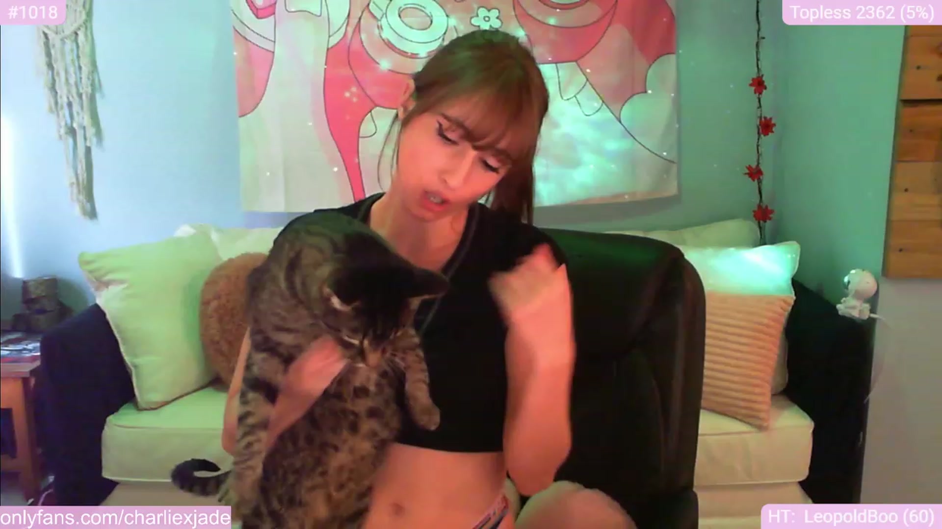 Gallery image thumbnail from Charliexjade's myfreecams stream on, 01/08/2024, 18:03 image 11 of 20