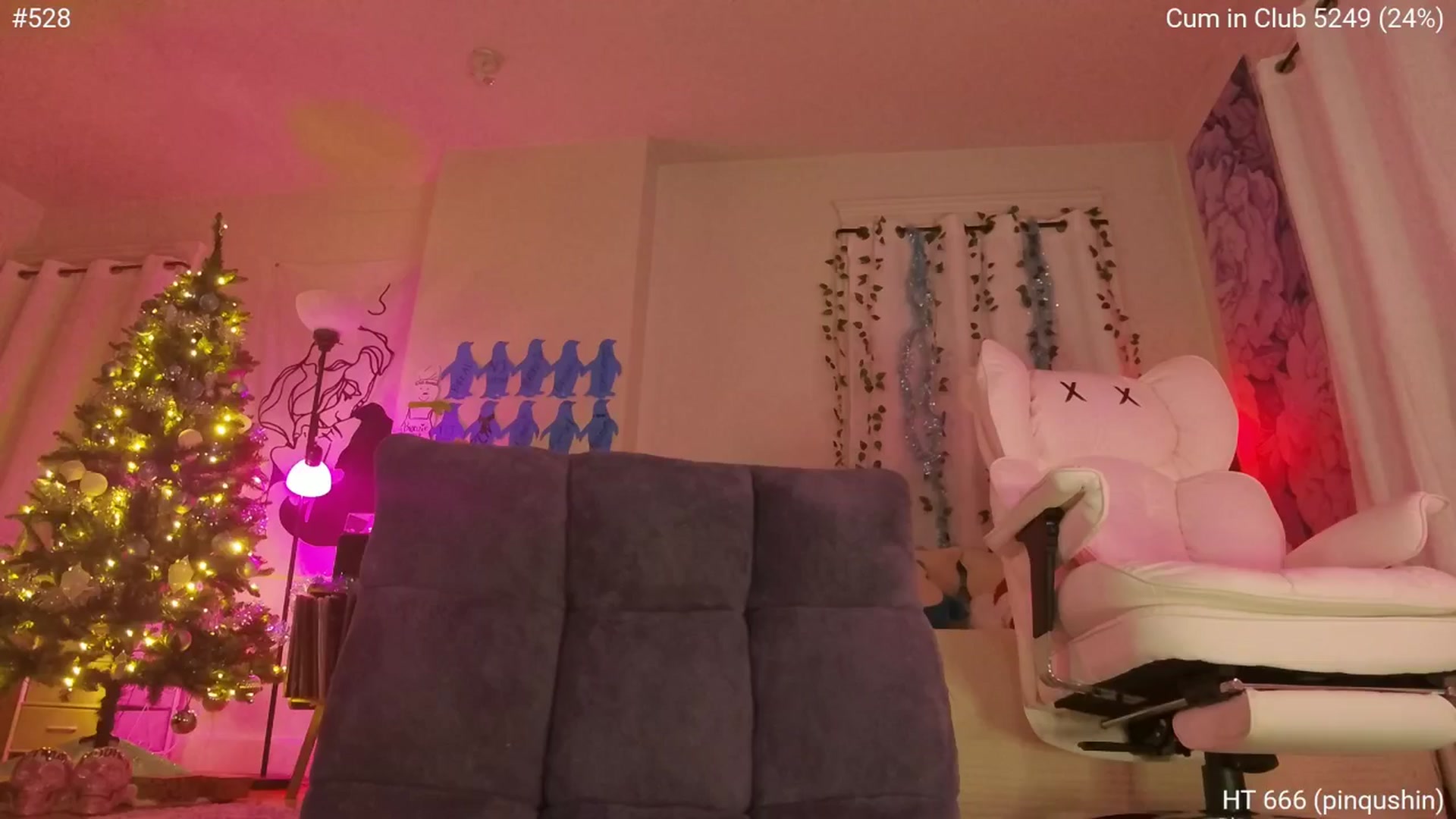 Gallery image thumbnail from Charliexjade's myfreecams stream on, 01/12/2026, 05:21 image 9 of 20