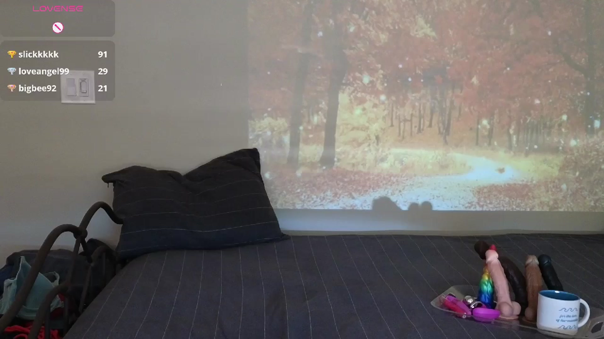 Gallery image thumbnail from CharlotteDoe's myfreecams stream on, 11/04/2025, 16:30 image 10 of 20