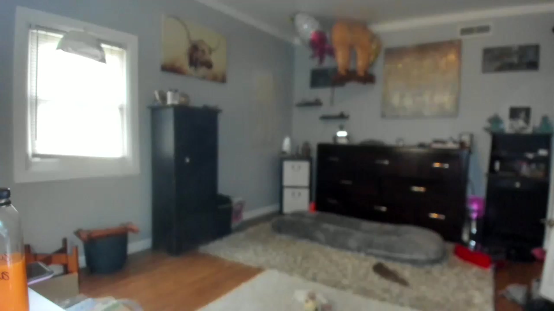 Gallery image thumbnail from Chasten_Lee's myfreecams stream on, 04/18/2023, 13:19 image 17 of 20