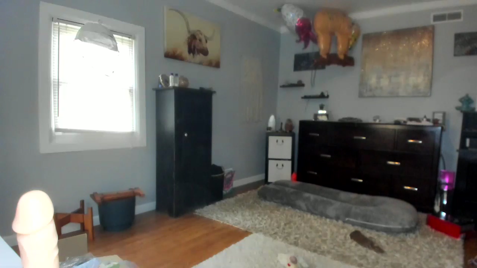 Gallery image thumbnail from Chasten_Lee's myfreecams stream on, 04/18/2023, 14:15 image 10 of 20