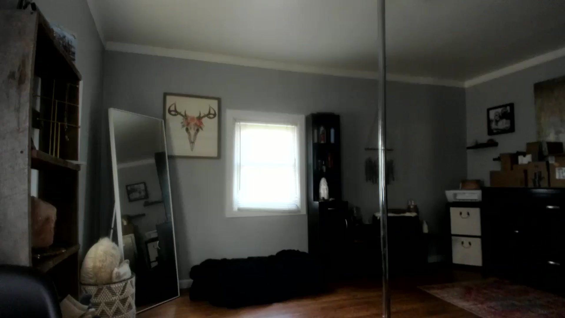 Gallery image thumbnail from Chasten_Lee's myfreecams stream on, 07/15/2024, 15:45 image 5 of 20