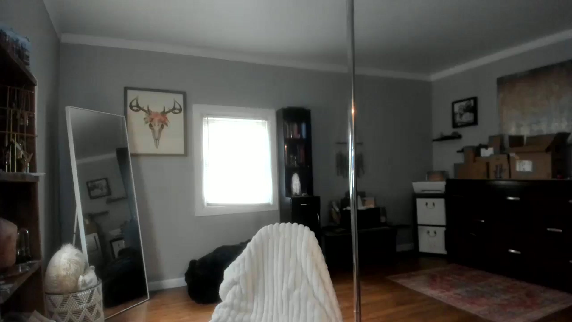 Gallery image thumbnail from Chasten_Lee's myfreecams stream on, 07/22/2024, 14:36 image 5 of 20