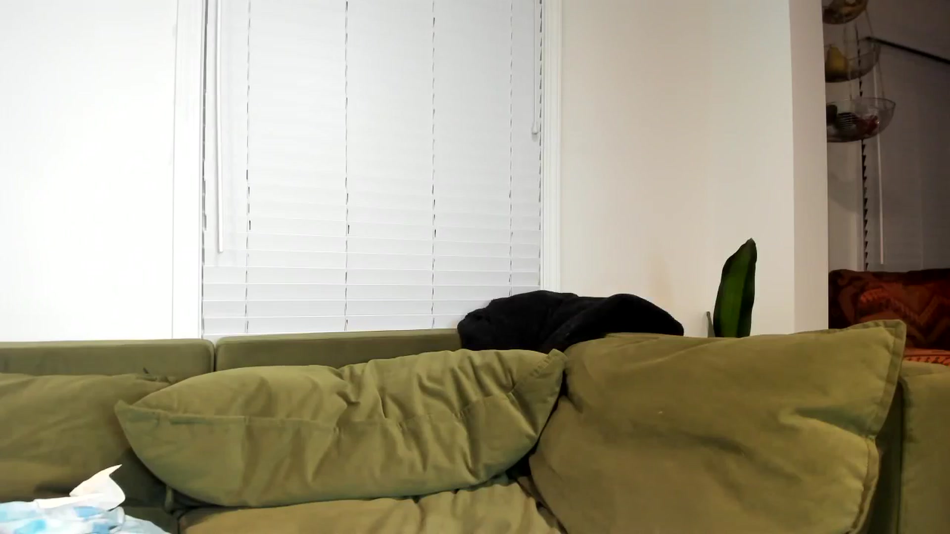 Gallery image thumbnail from Chco0l8cak3's myfreecams stream on, 08/07/2023, 05:53 image 11 of 20