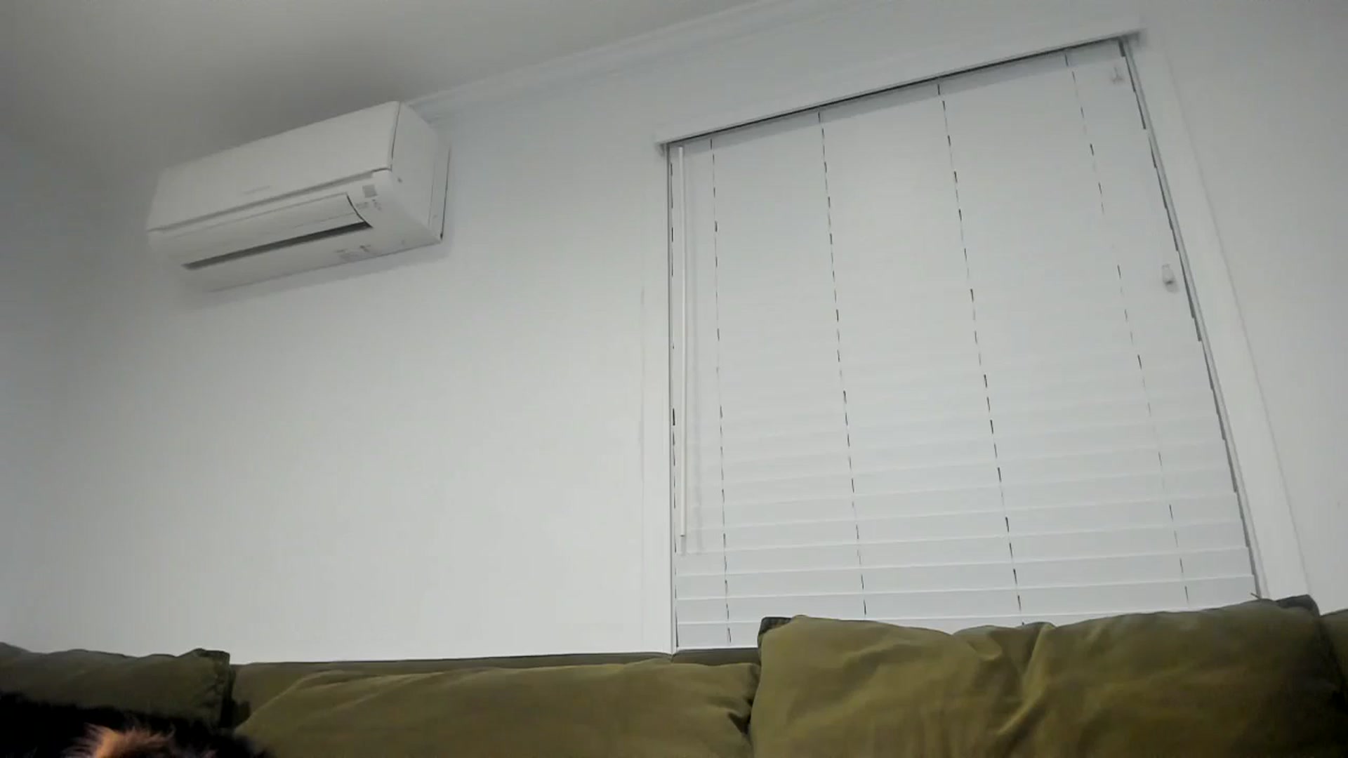 Gallery image thumbnail from Chco0l8cak3's myfreecams stream on, 09/17/2023, 03:05 image 13 of 20