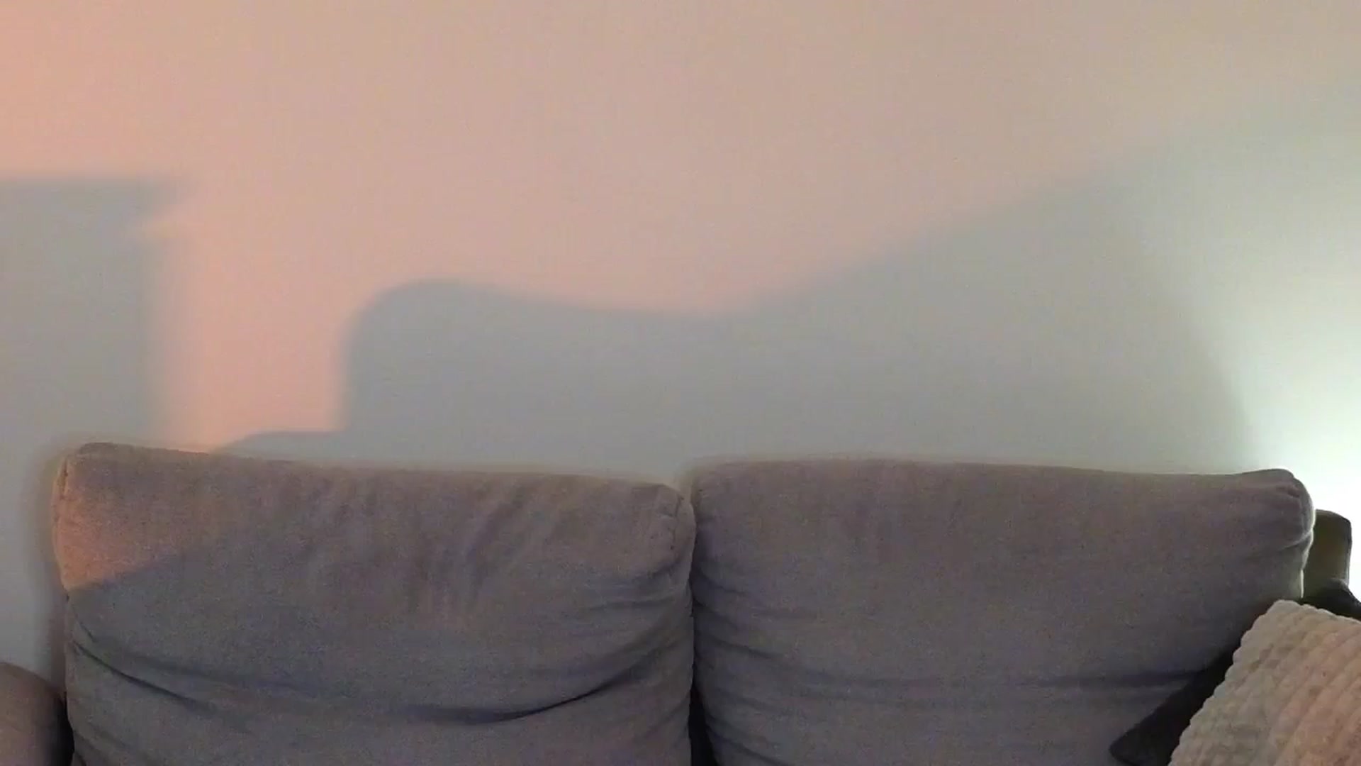 Gallery image thumbnail from CheckmyPeach's myfreecams stream on, 06/29/2025, 20:34 image 15 of 20