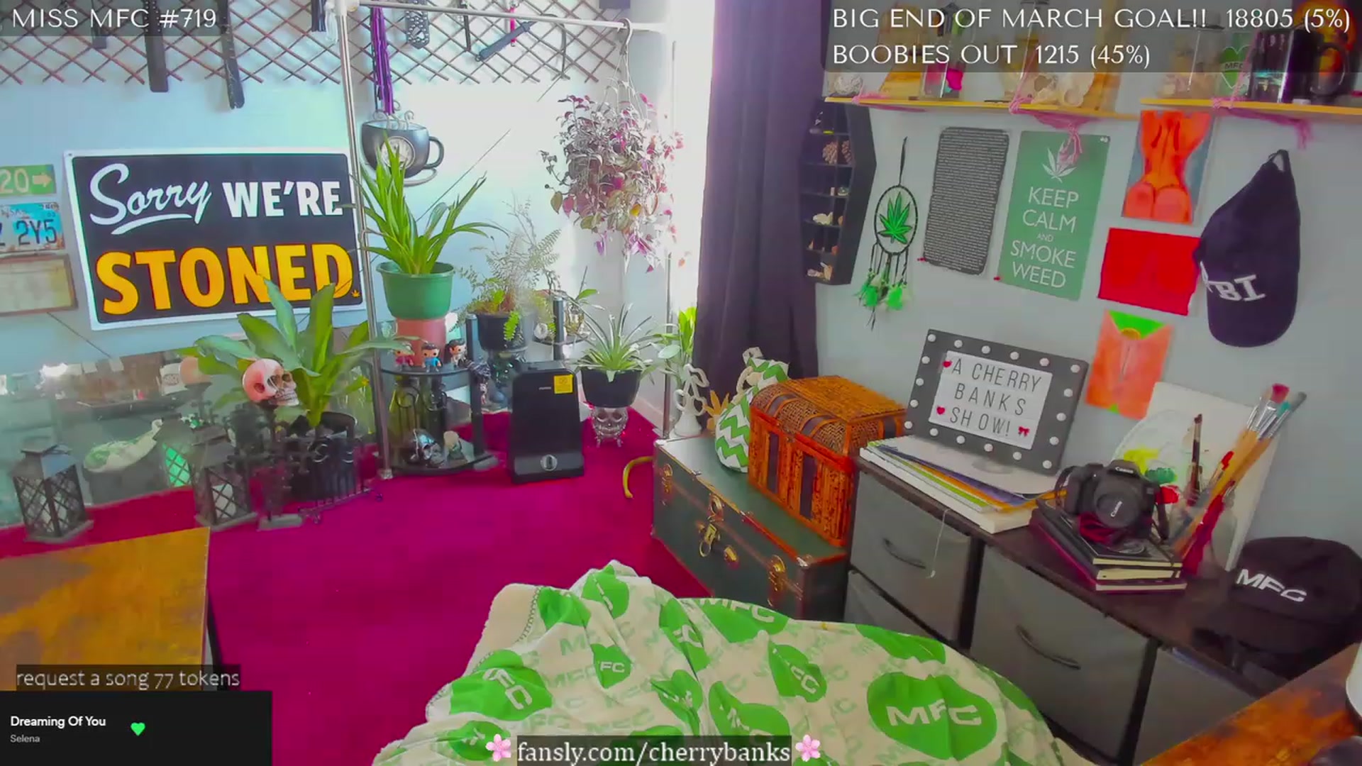Gallery image thumbnail from CherryBanks's myfreecams stream on, 03/27/2023, 17:20 image 20 of 20