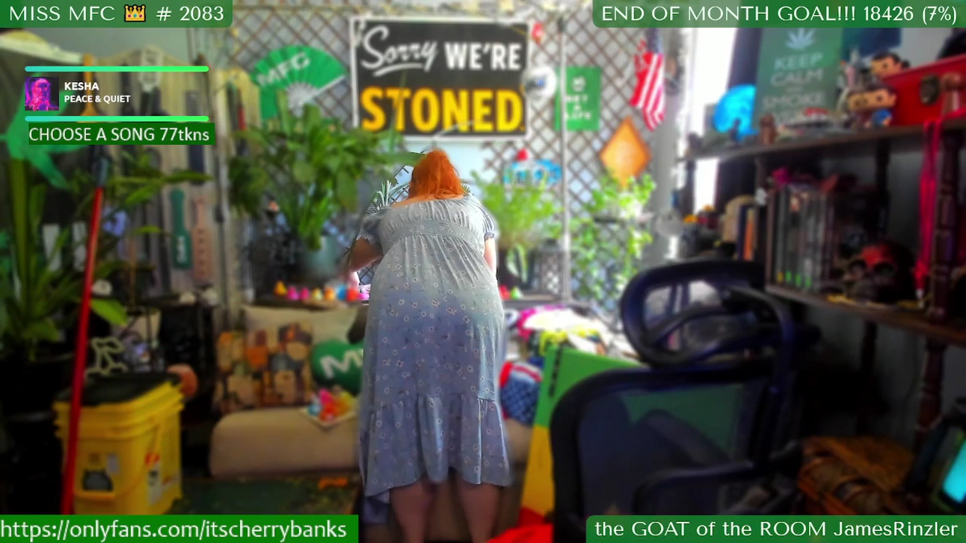 Gallery image thumbnail from CherryBanks's myfreecams stream on, 07/28/2025, 19:41 image 13 of 20