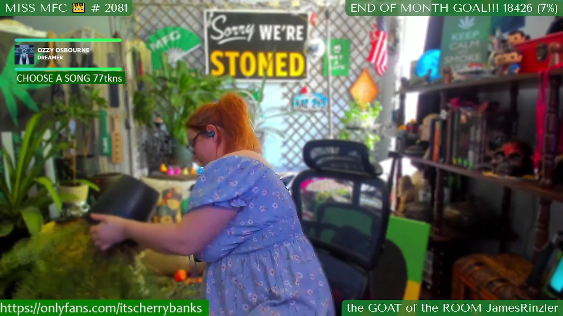 Gallery image thumbnail from CherryBanks's myfreecams stream on, 07/28/2025, 19:41 image 11 of 20