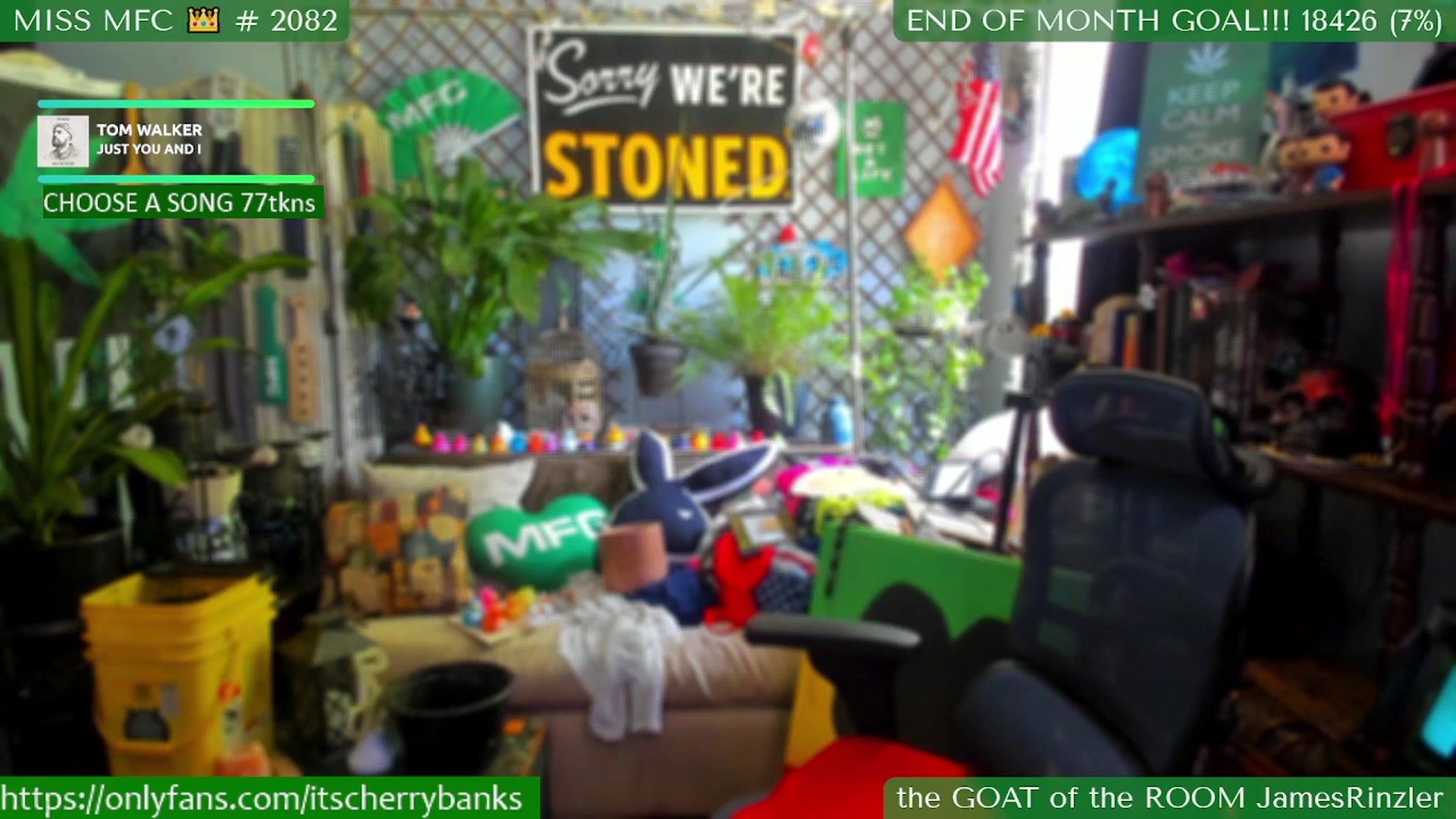Gallery image thumbnail from CherryBanks's myfreecams stream on, 07/28/2025, 19:41 image 12 of 20