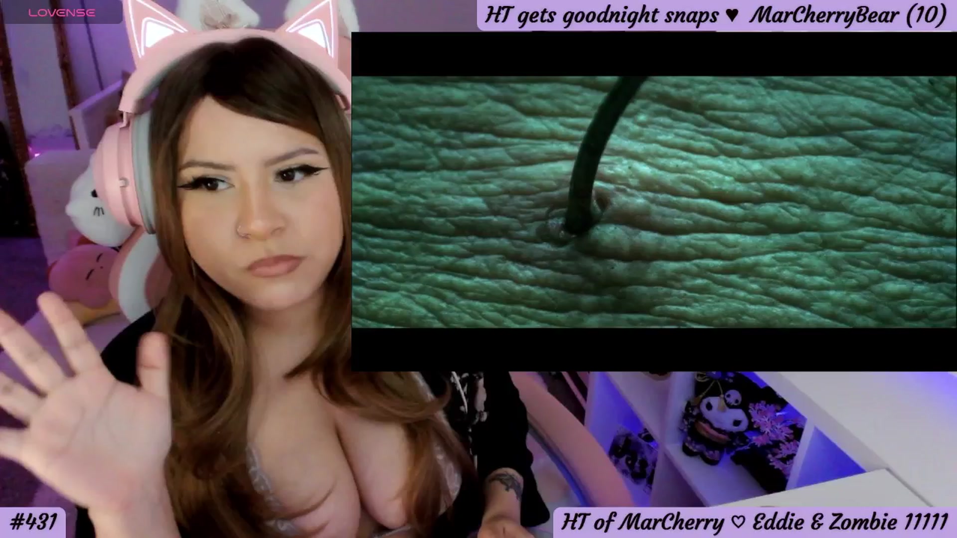 Gallery image thumbnail from CherryMace's myfreecams stream on, 03/13/2025, 04:39 image 16 of 20